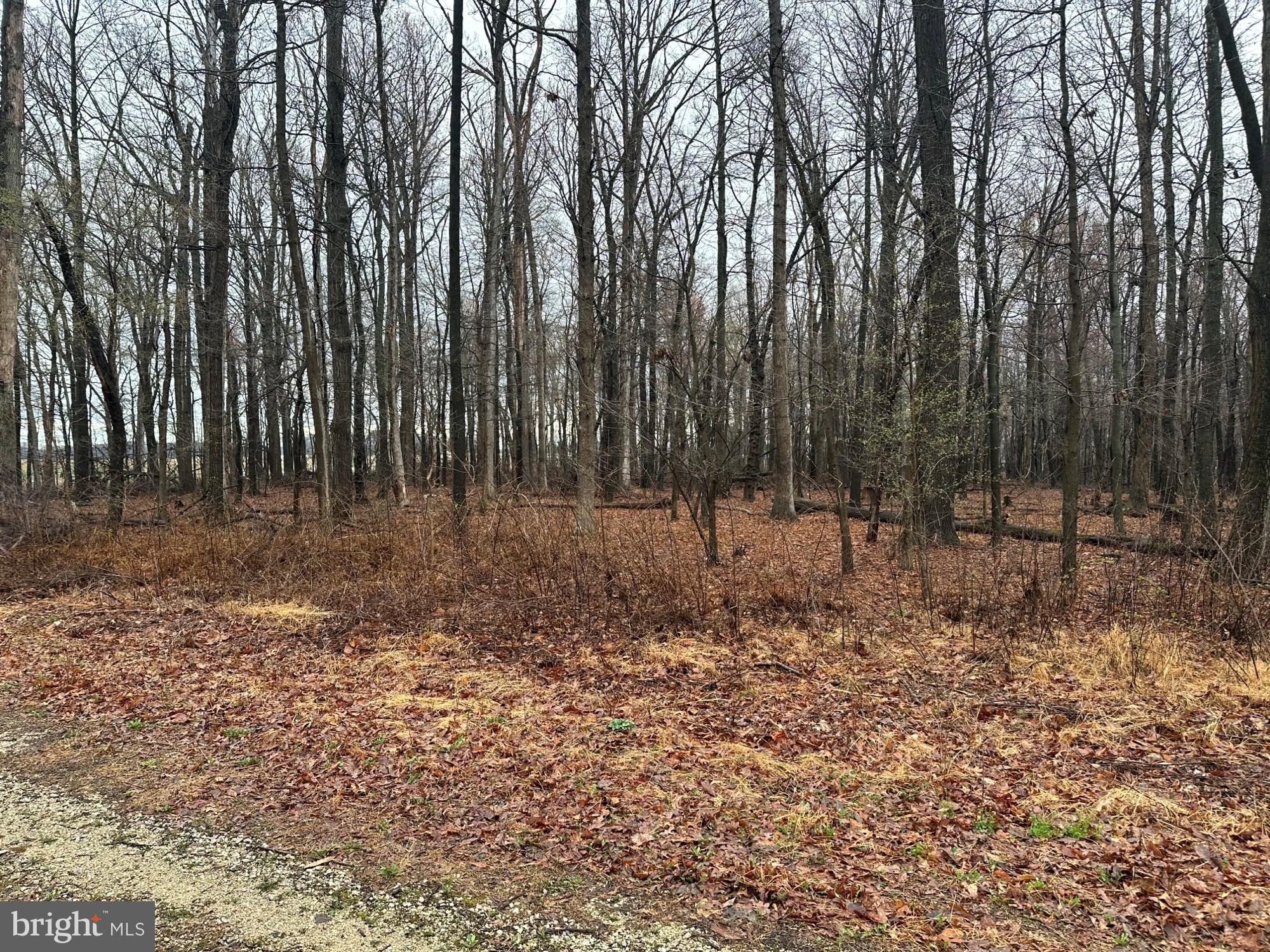Very nice 0.88 acre wooded lot at the end of a private cul-de-sac lane, with only 4 lots total so you can be sure the setting will remain private.  Lot is flat with mature trees, utilities available and perc approval, just waiting for your dream home! Well required. Only minutes from I-83, shopping & PA/MD Line!