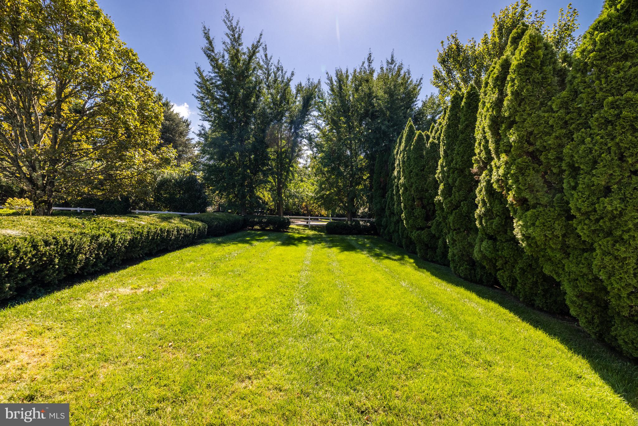 HICKORY VALE FARM - Residential