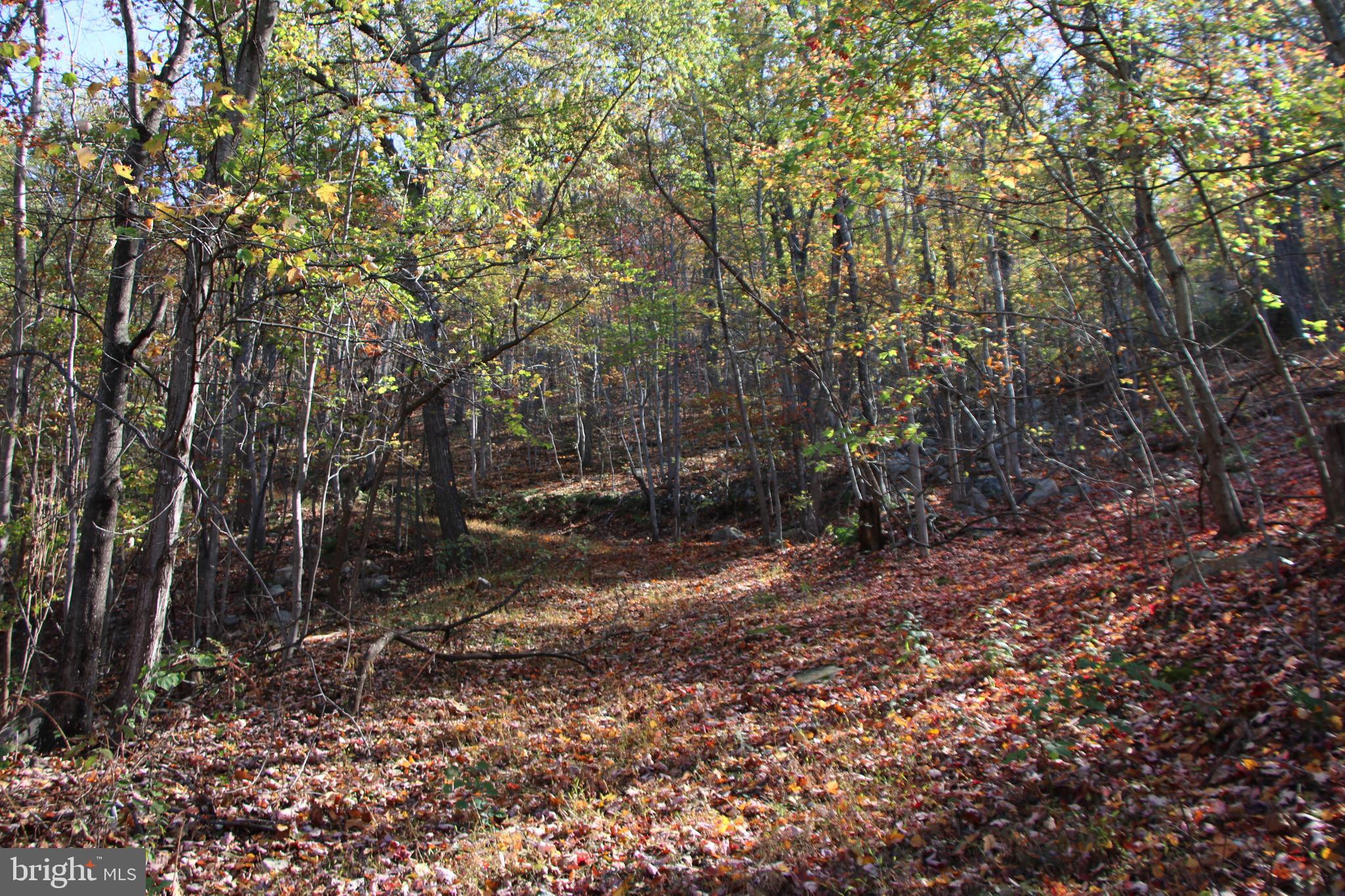 DEER RAPIDS - Land