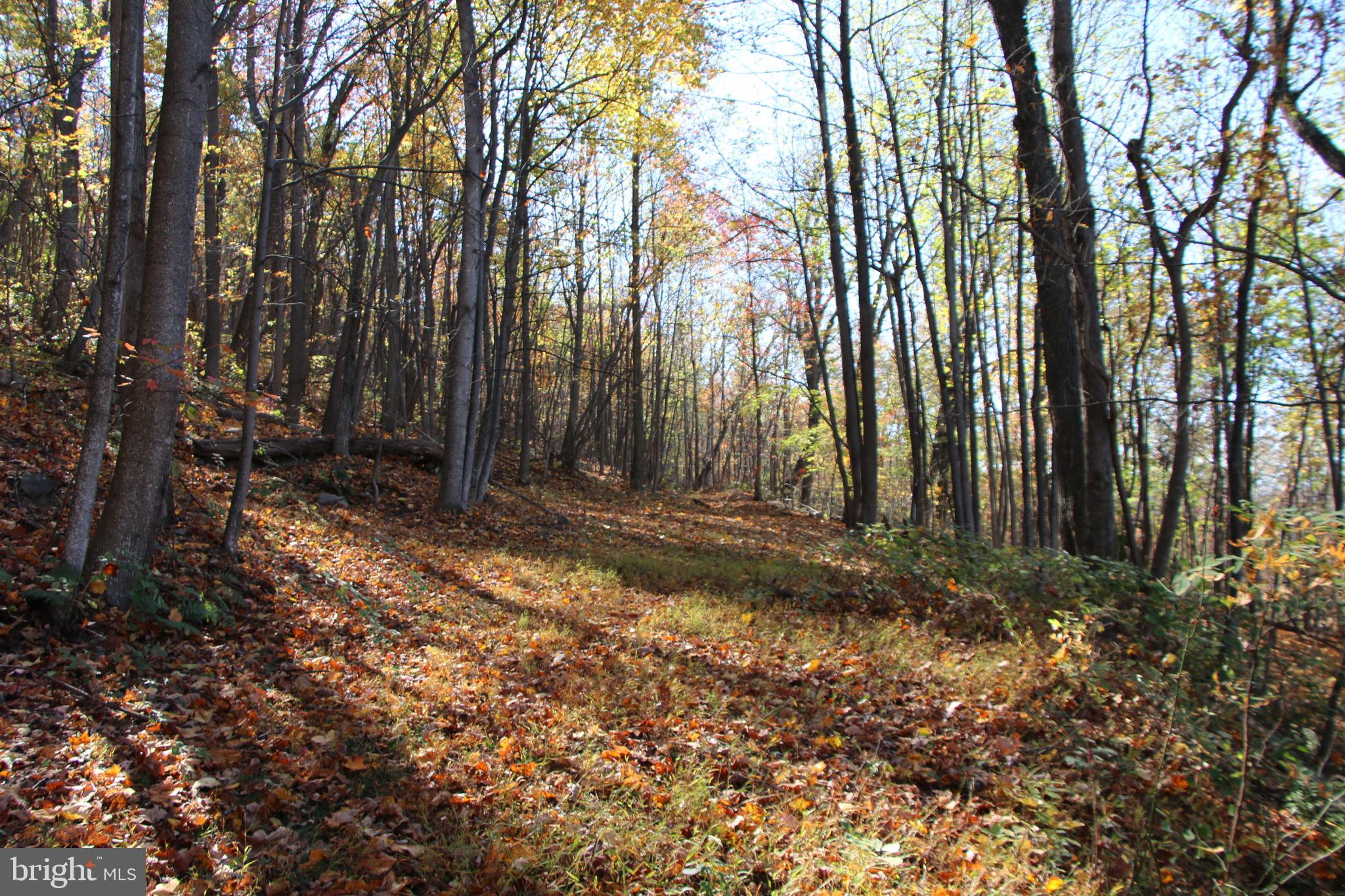 DEER RAPIDS - Land