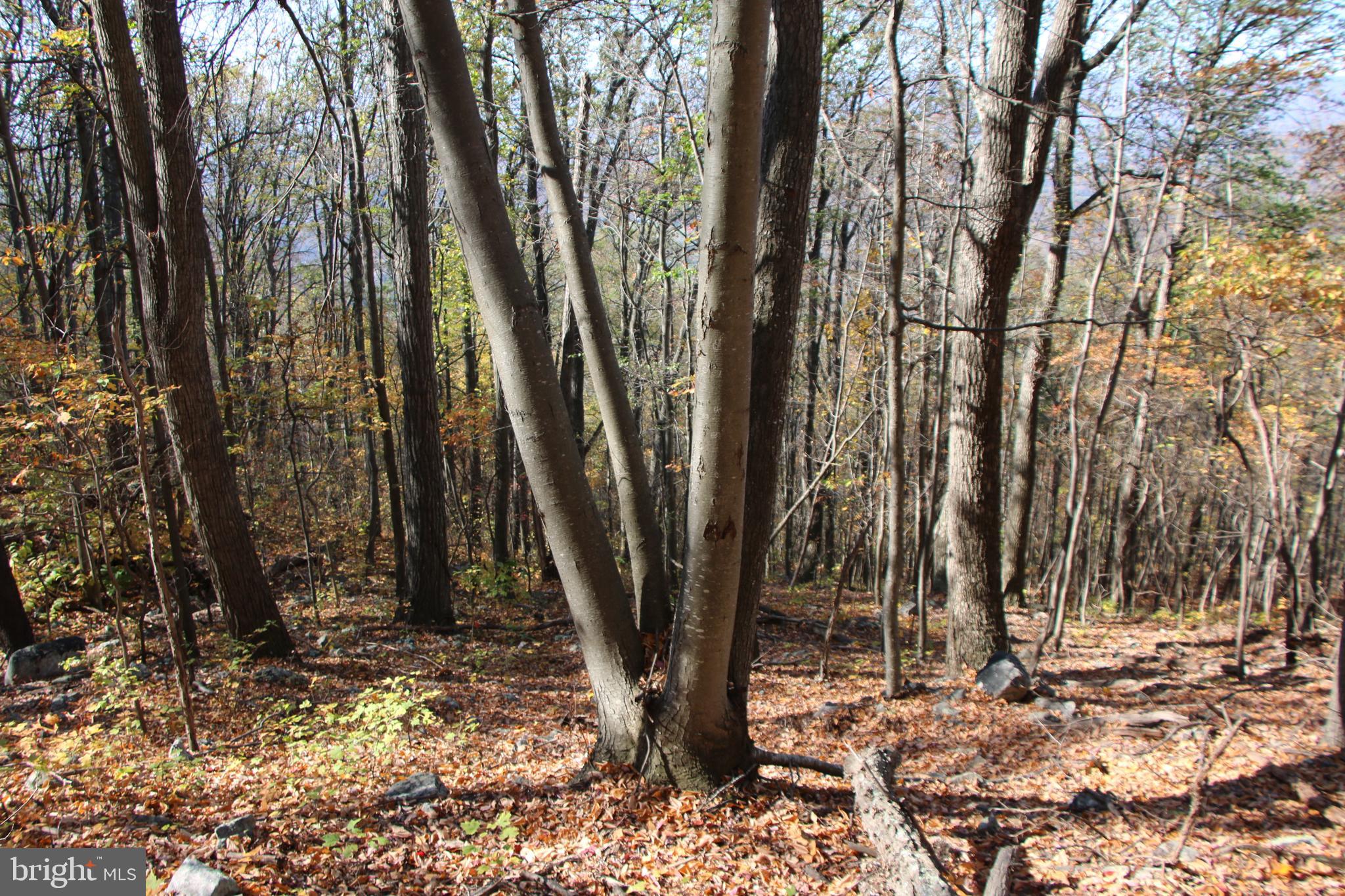 DEER RAPIDS - Land