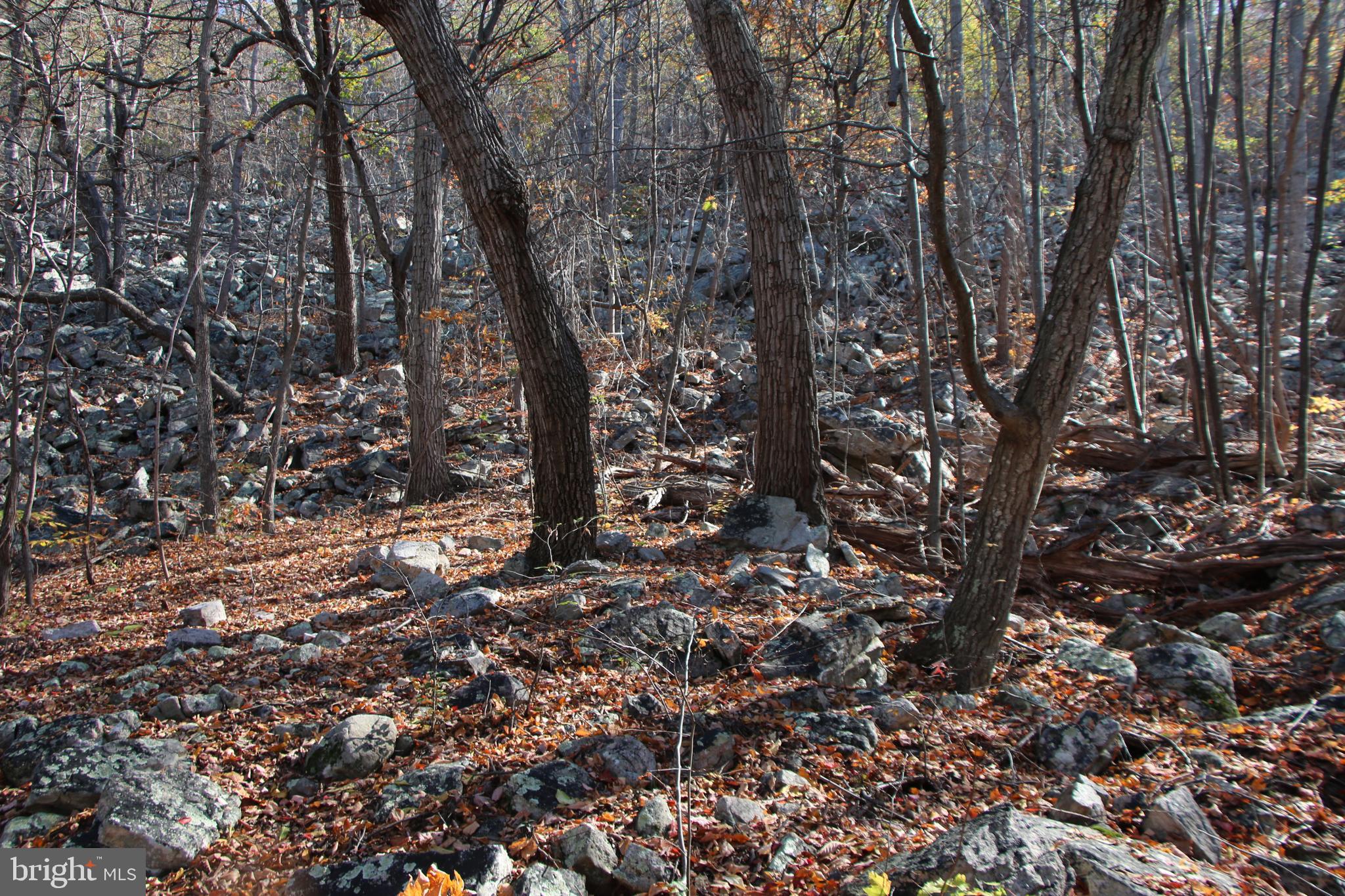 DEER RAPIDS - Land
