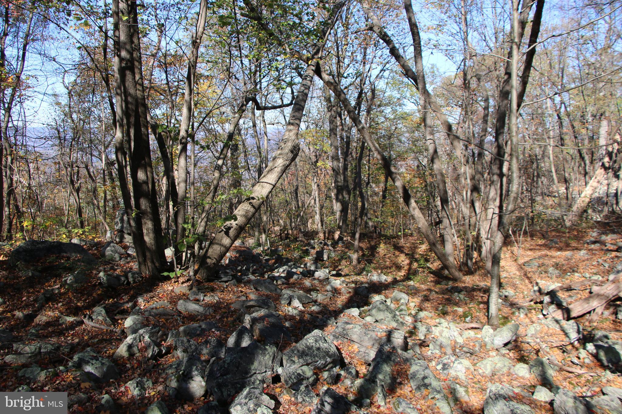 DEER RAPIDS - Land