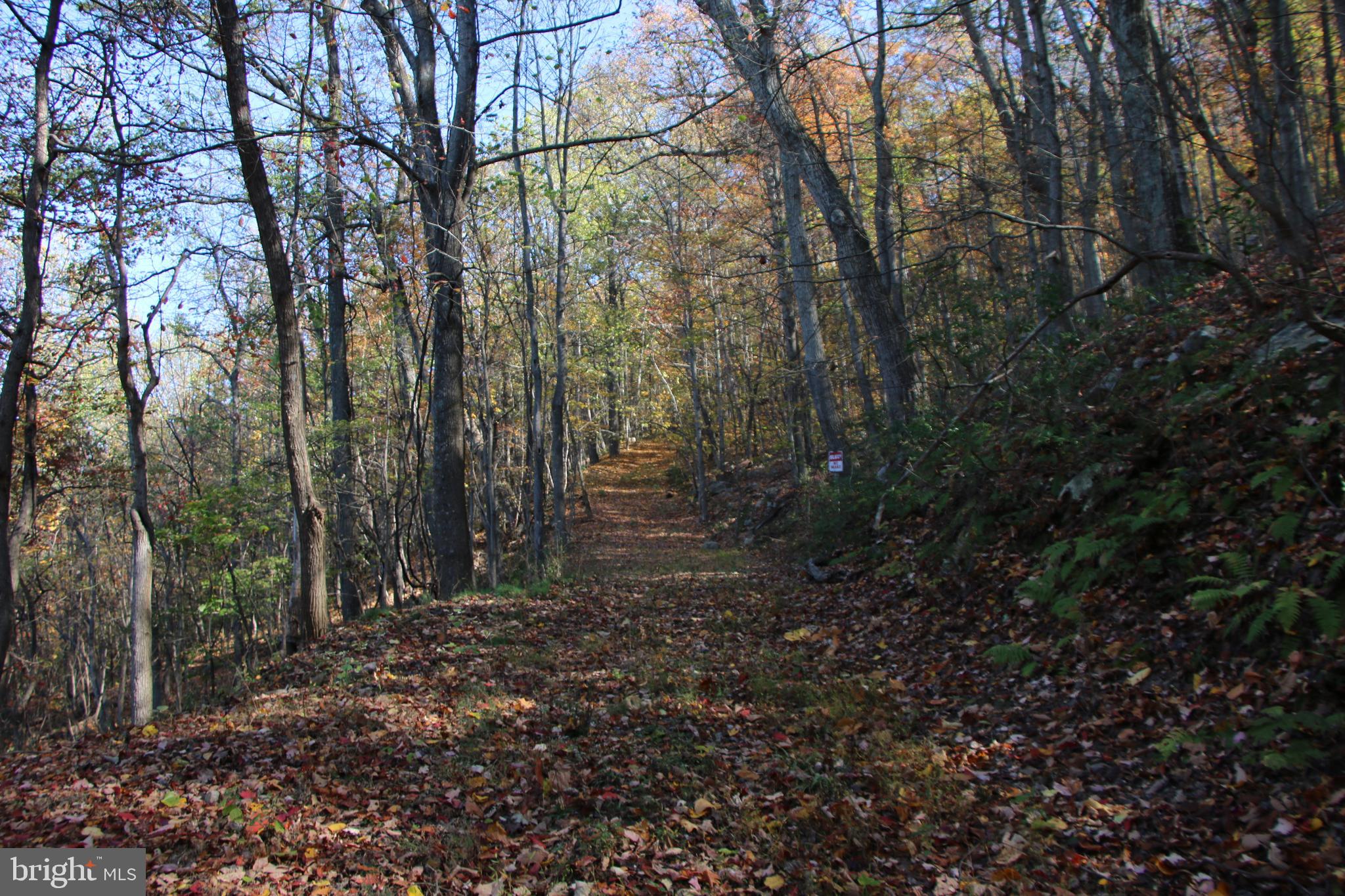 DEER RAPIDS - Land