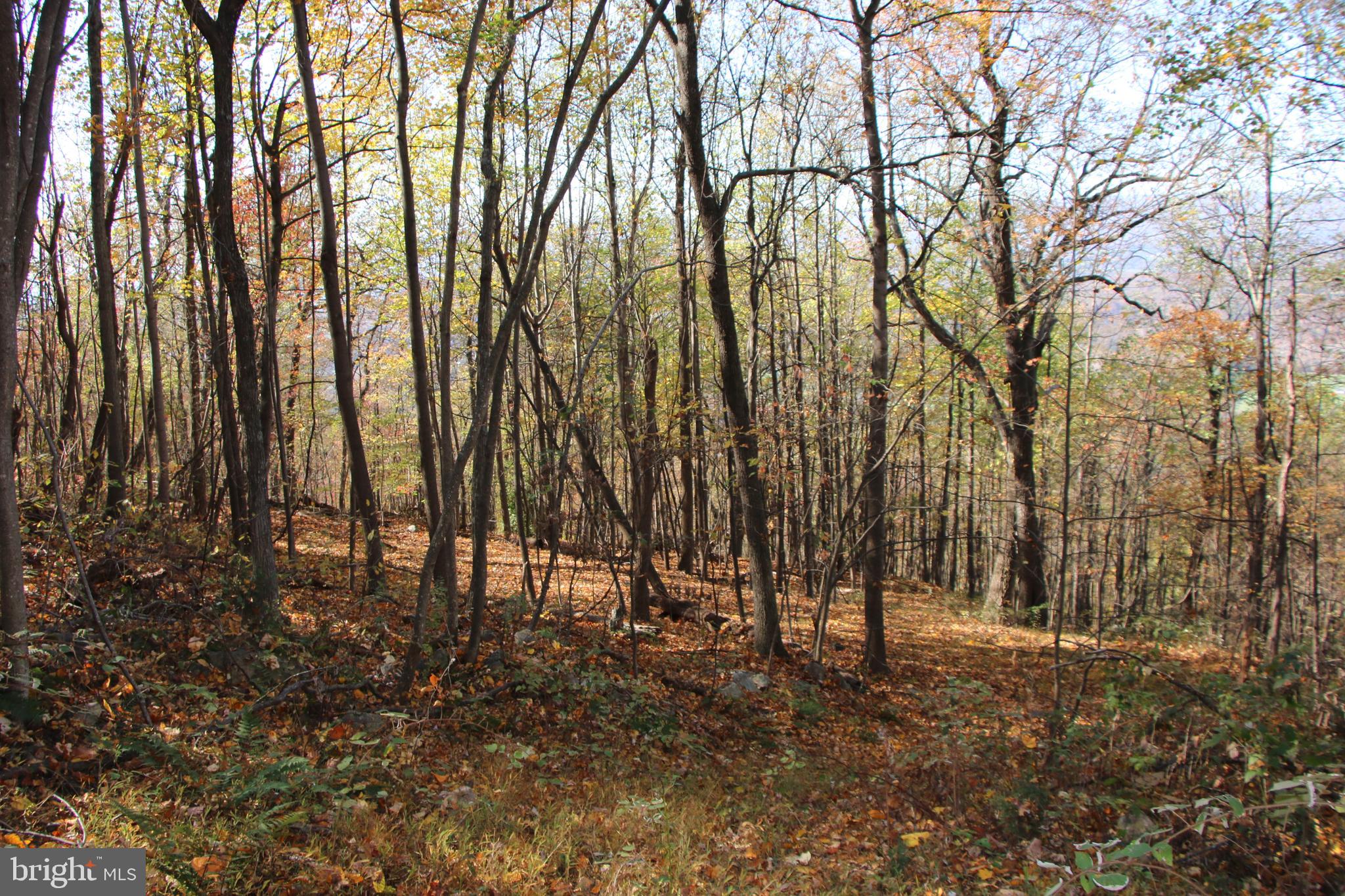 DEER RAPIDS - Land