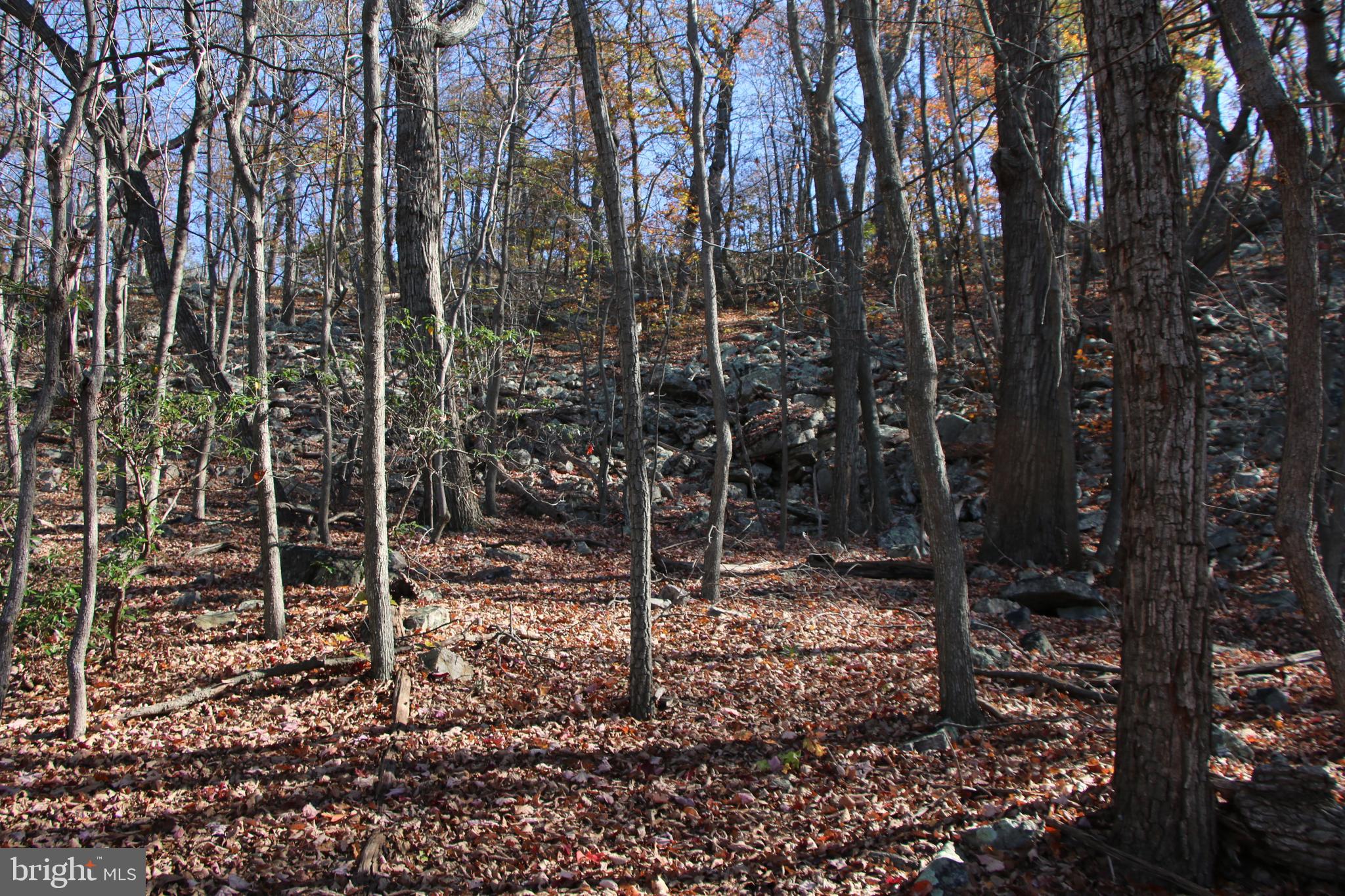 DEER RAPIDS - Land