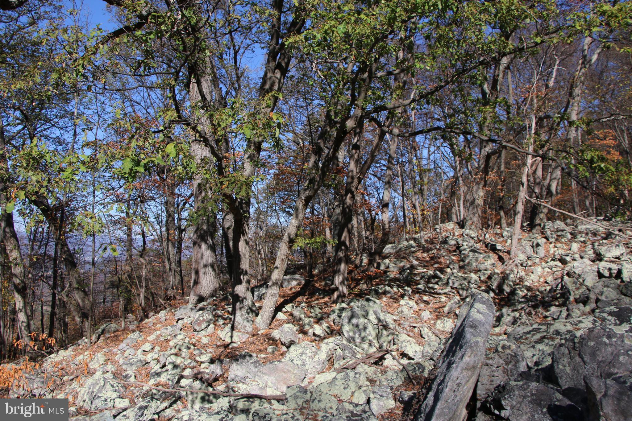 DEER RAPIDS - Land