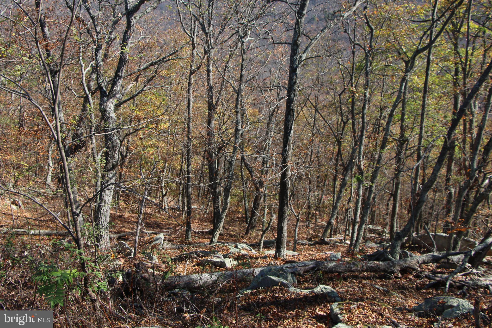 DEER RAPIDS - Land