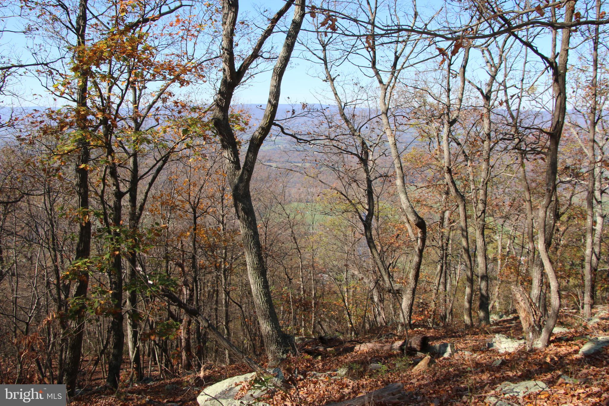 DEER RAPIDS - Land