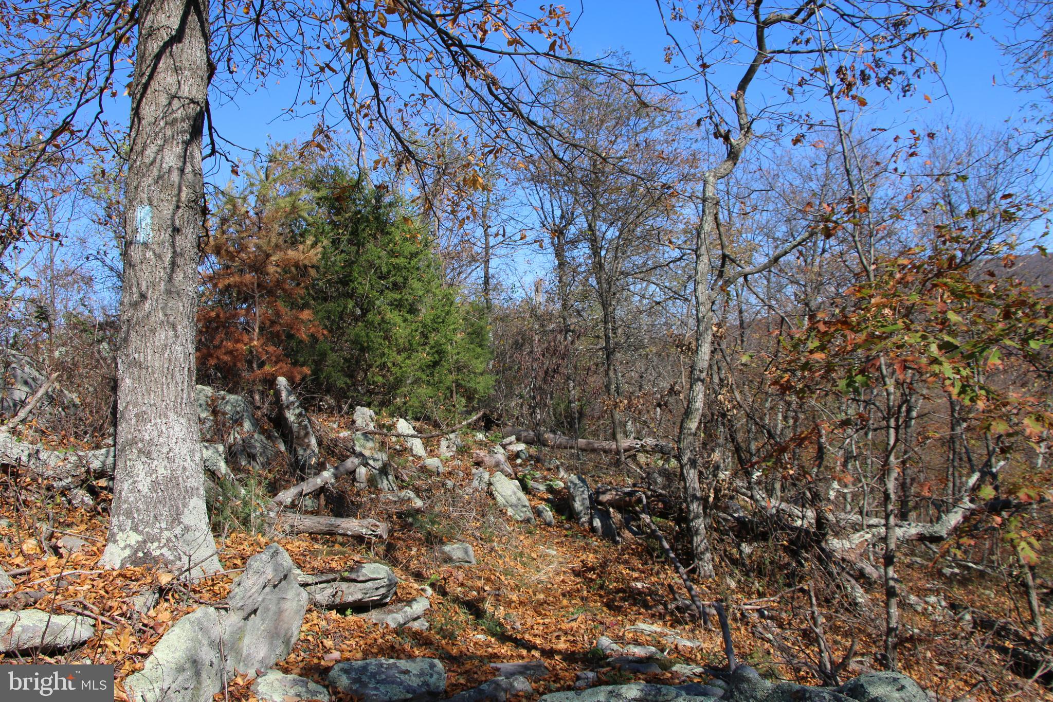 DEER RAPIDS - Land