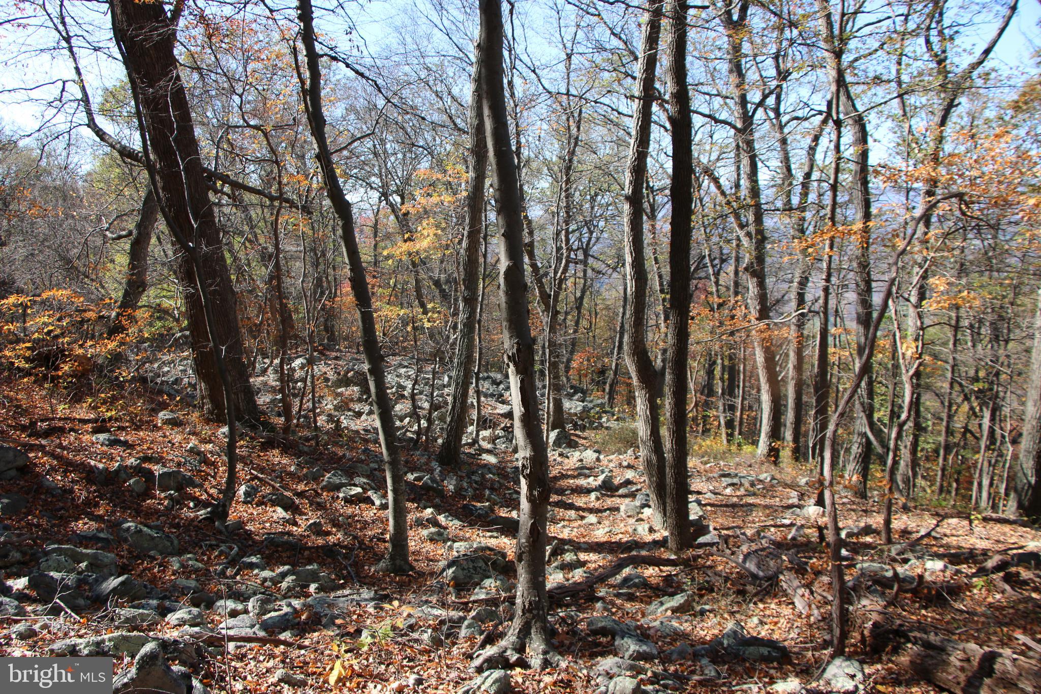 DEER RAPIDS - Land
