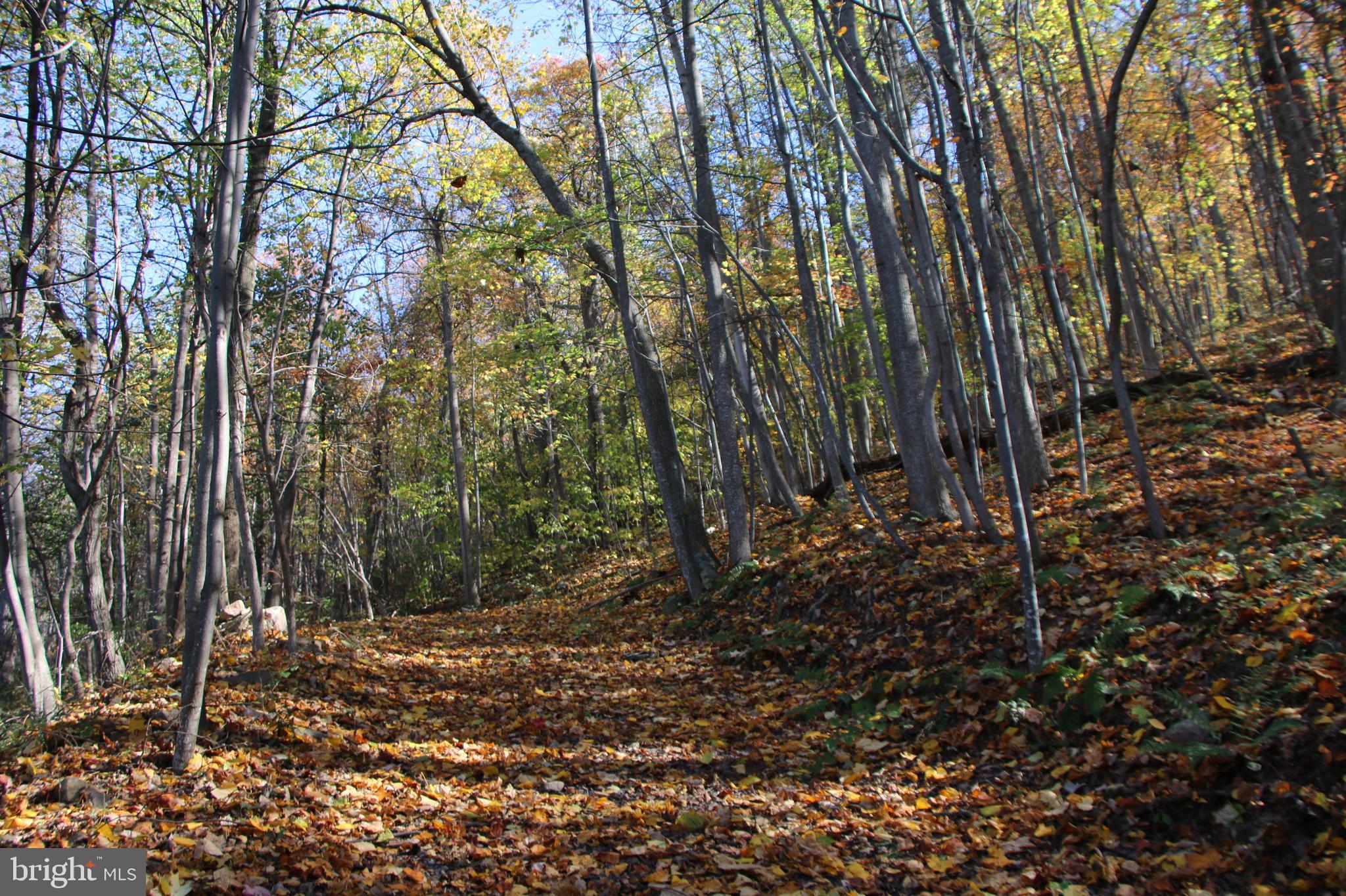 DEER RAPIDS - Land