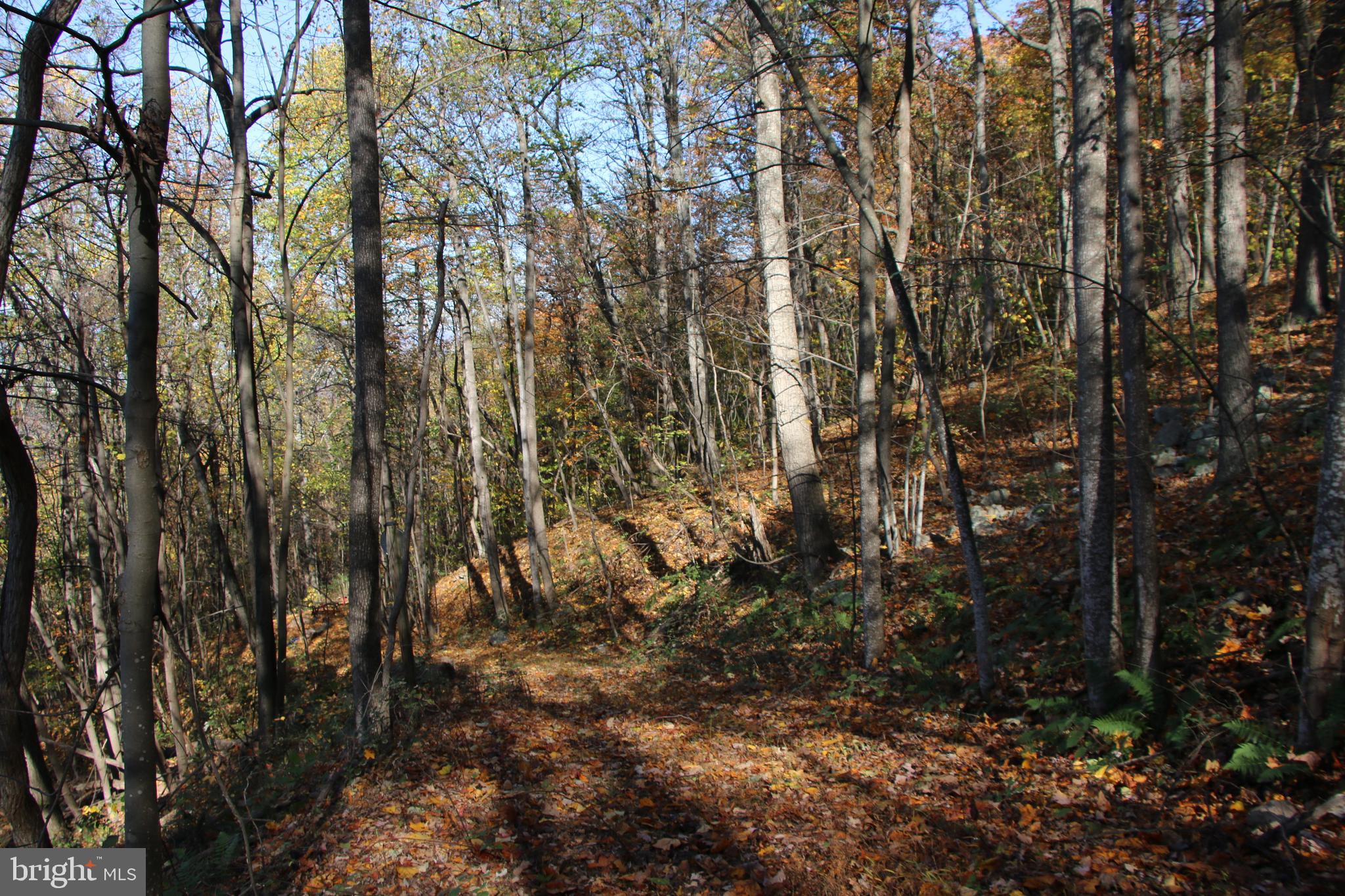 DEER RAPIDS - Land
