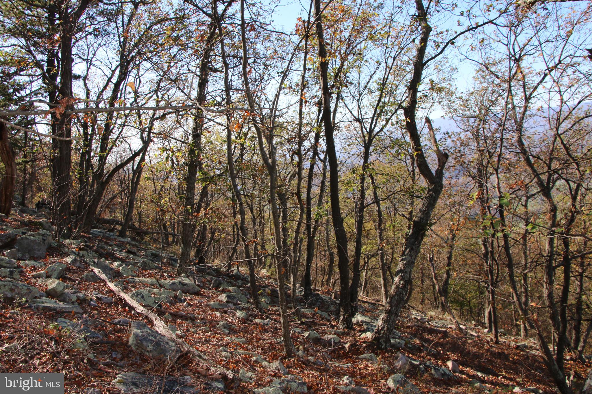 DEER RAPIDS - Land