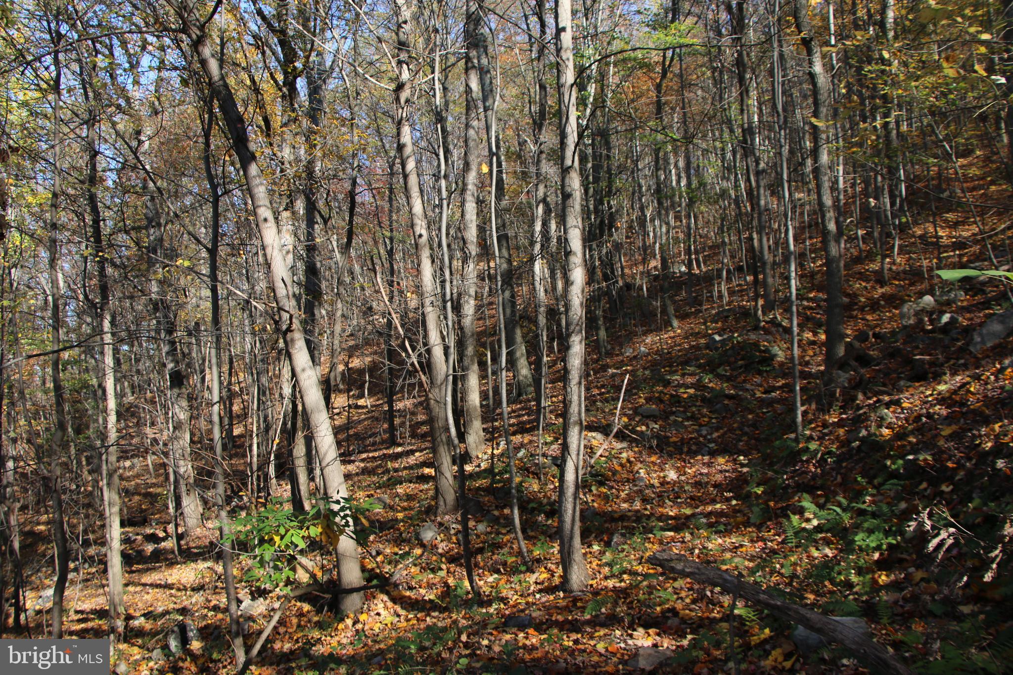 DEER RAPIDS - Land