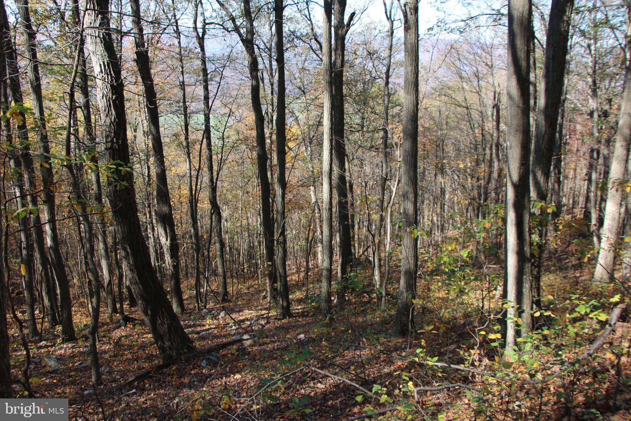 DEER RAPIDS - Land