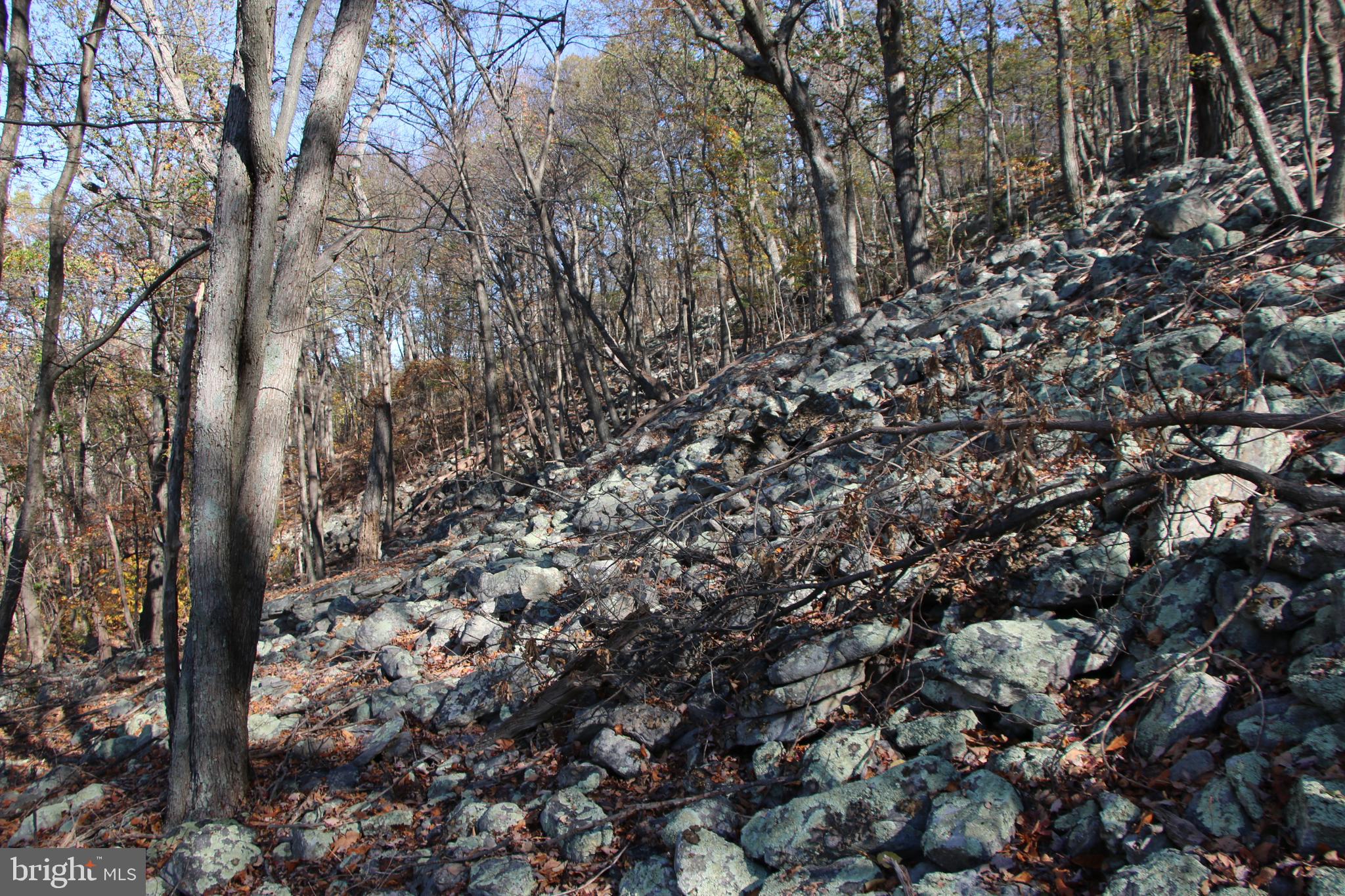 DEER RAPIDS - Land