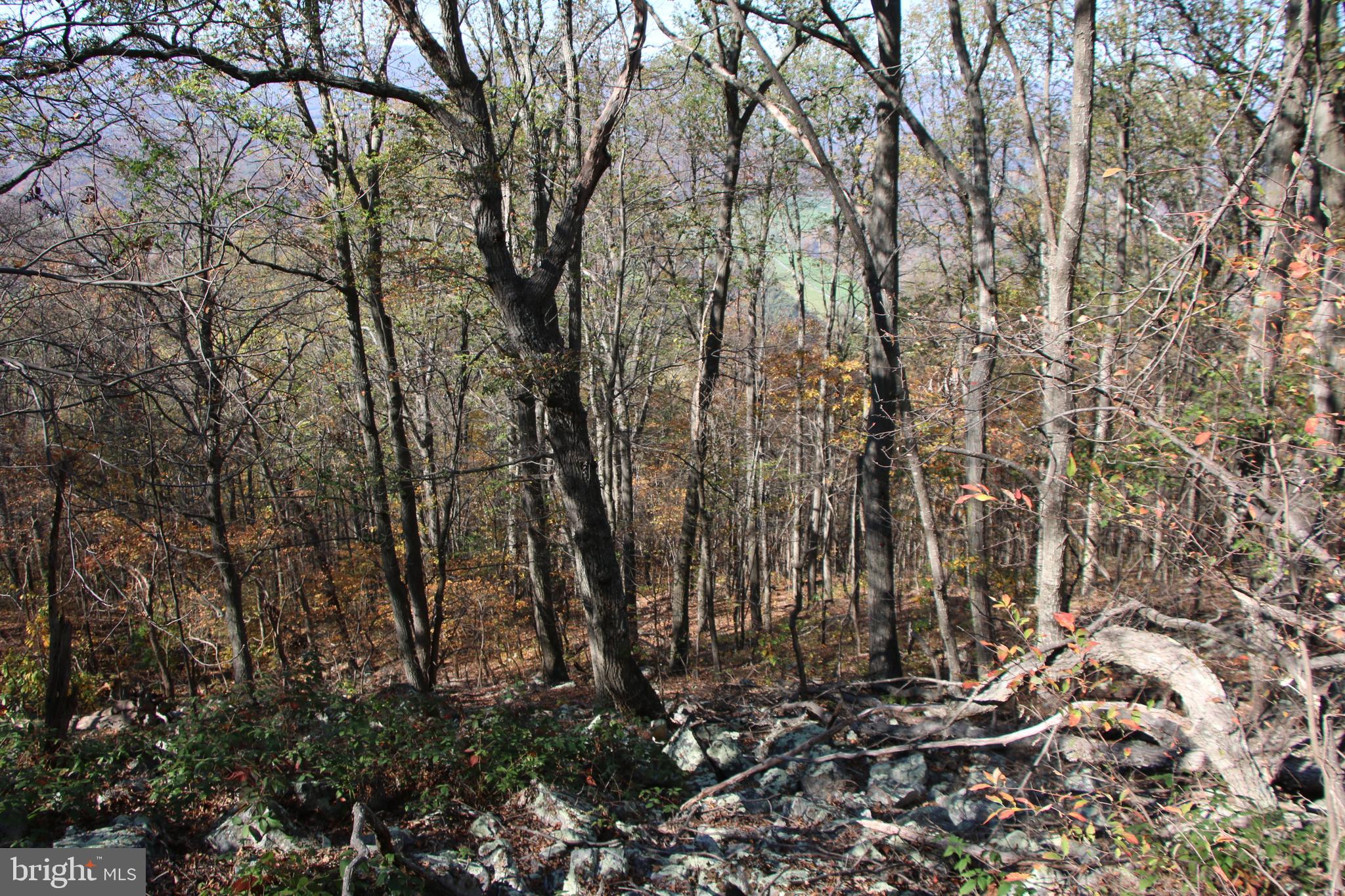 DEER RAPIDS - Land