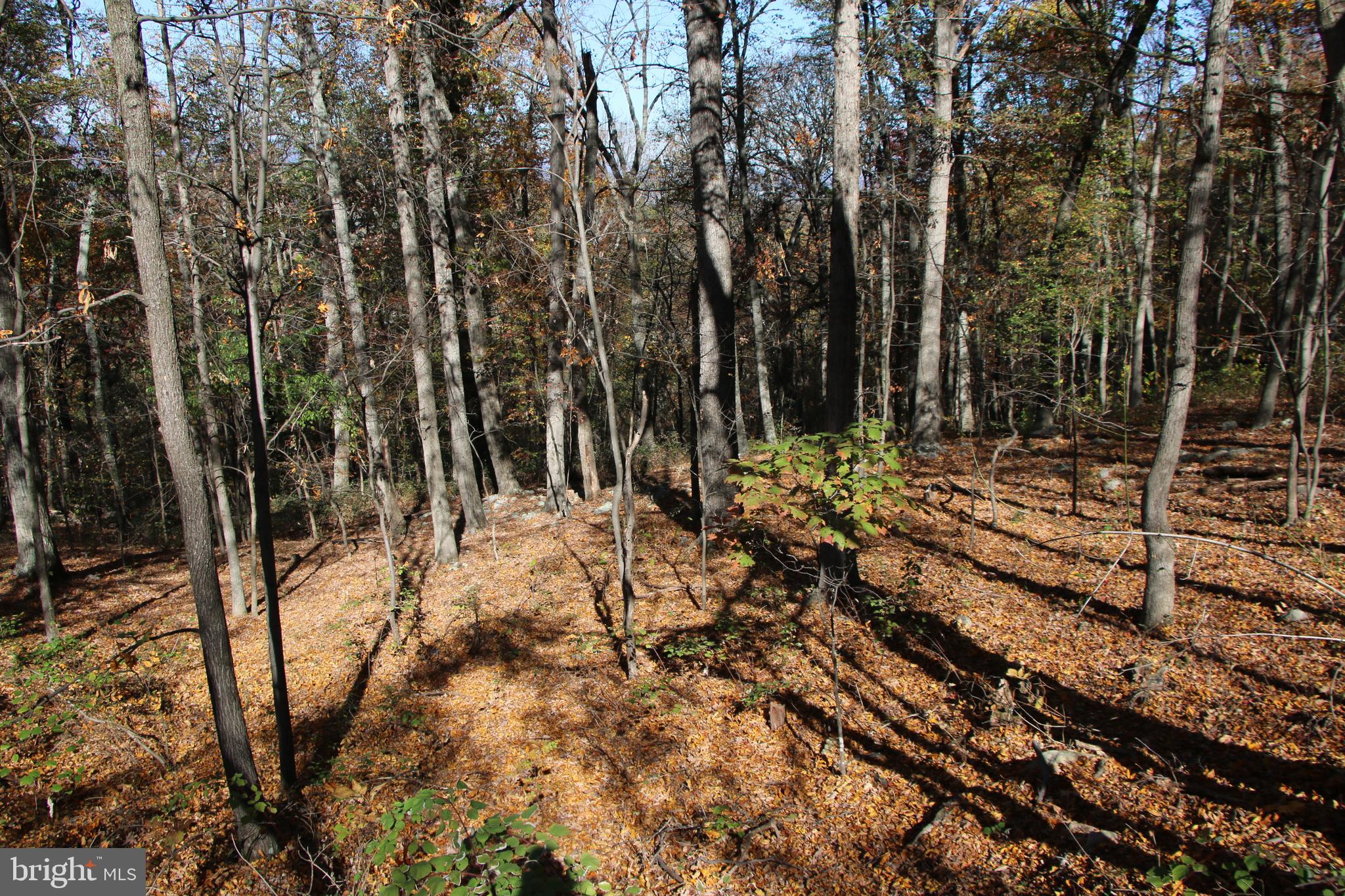 DEER RAPIDS - Land