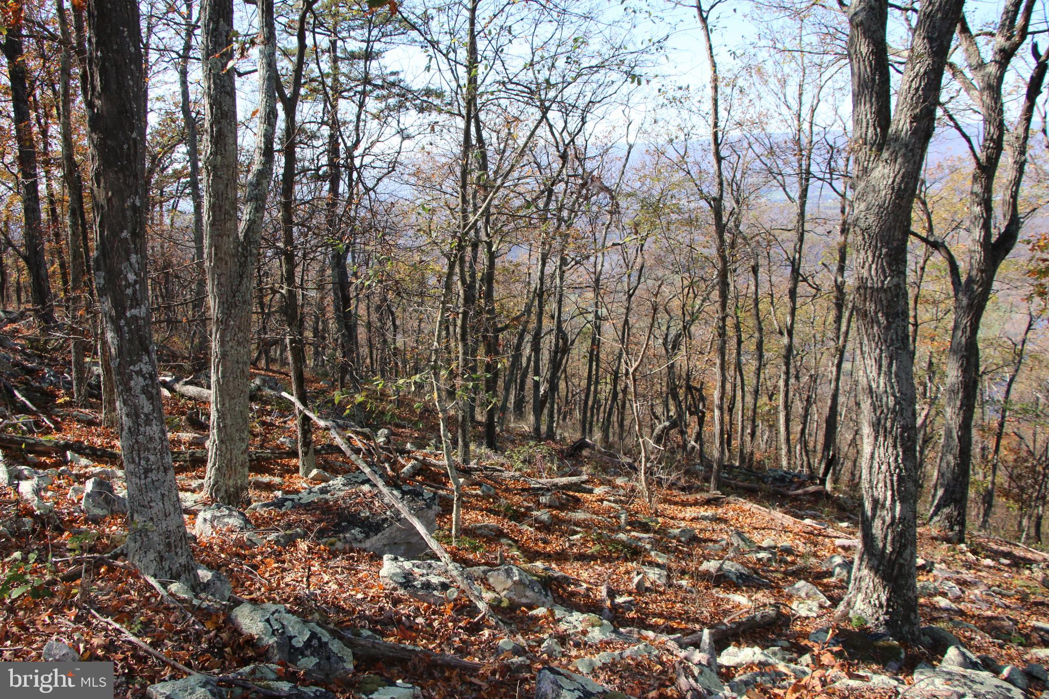 DEER RAPIDS - Land