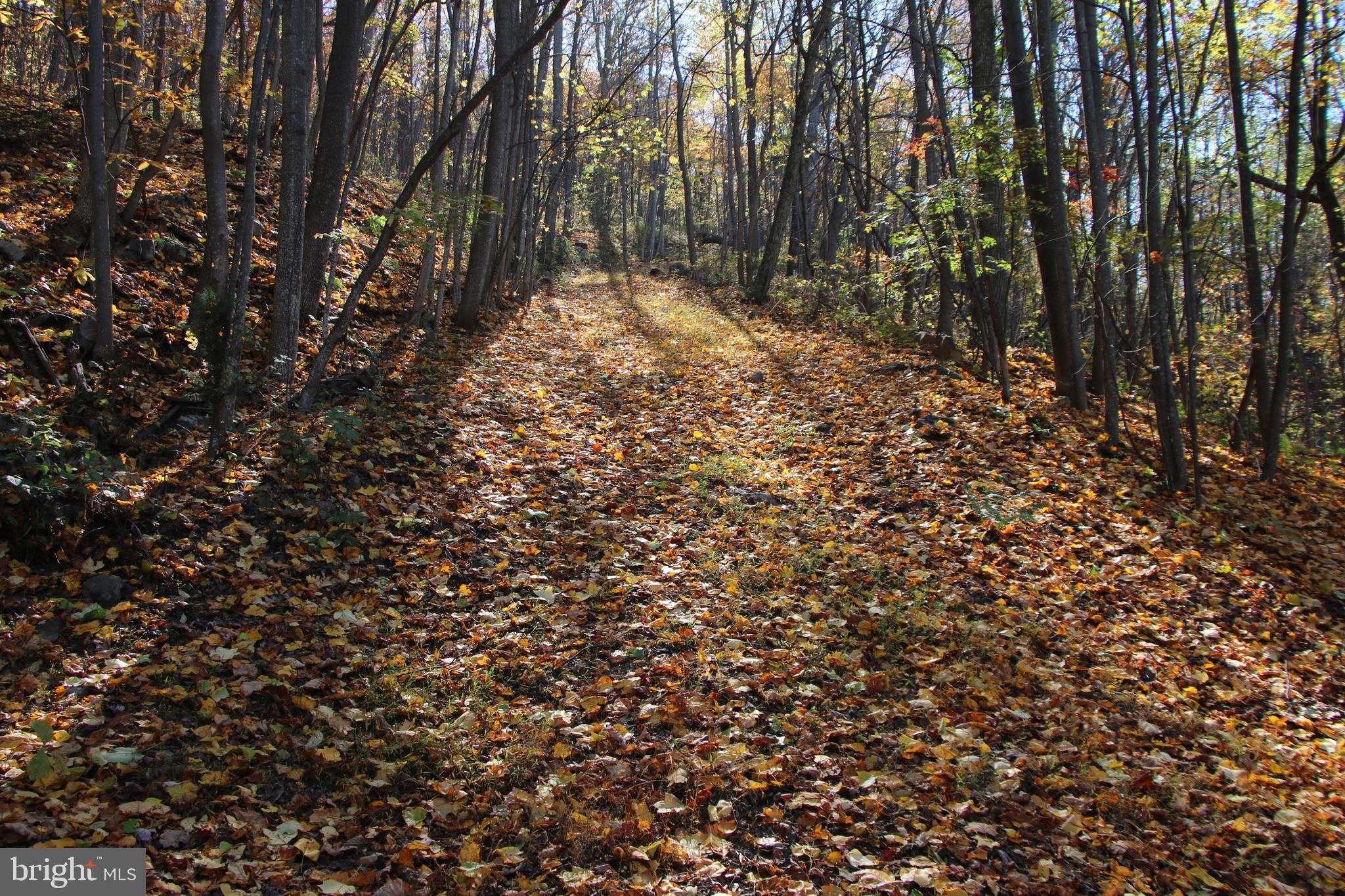 DEER RAPIDS - Land