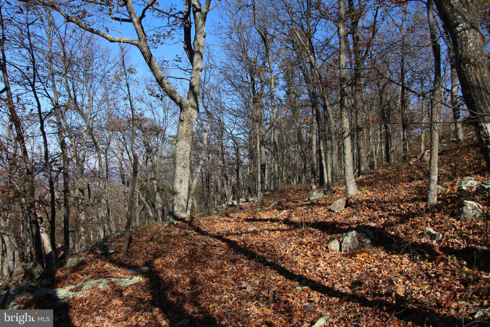 DEER RAPIDS - Land