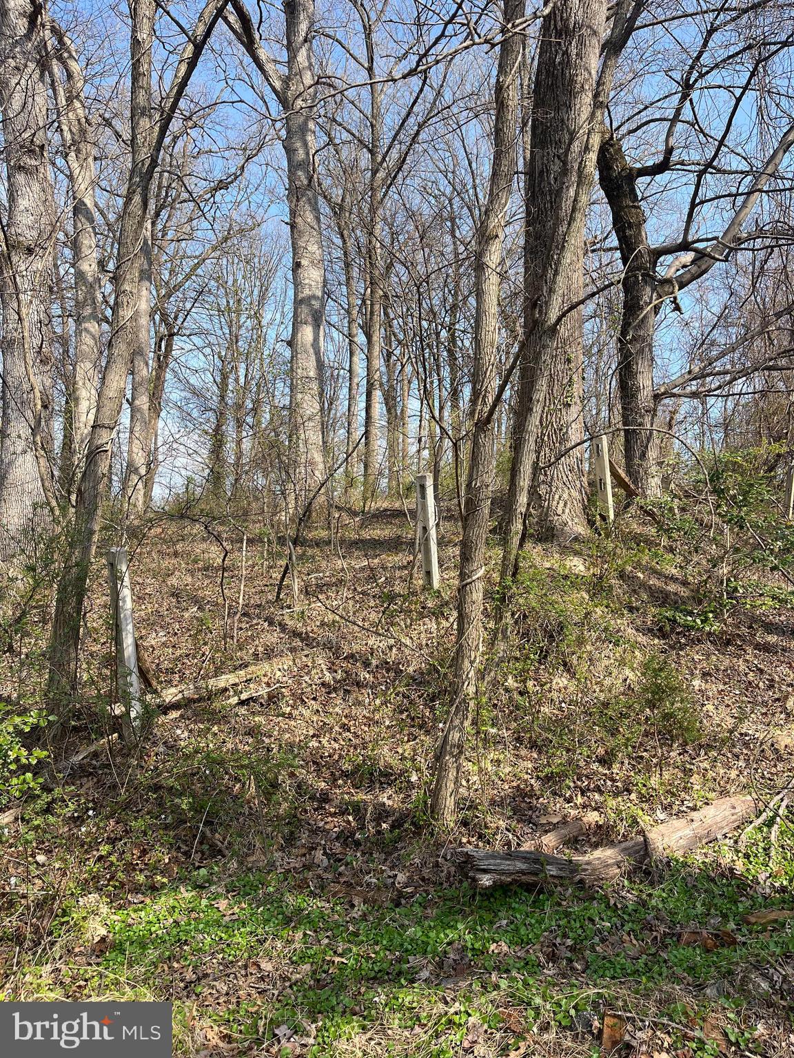 This property has been in the same family for generations. And the plan was always to build 2 homes side by side. This property has never been perc, but the area has good soil & the Owners have been told by the County that there is no reason that the property couldn't be divided in half. But the current owners do not want to deal with the work to do so & it is priced accordingly. The "low area" across from the for sale sign is part of the property for sale, but clearly not the area to build on. Reach out to the County for any perc related questions. Sellers are opened to a reasonable perc contingency.
