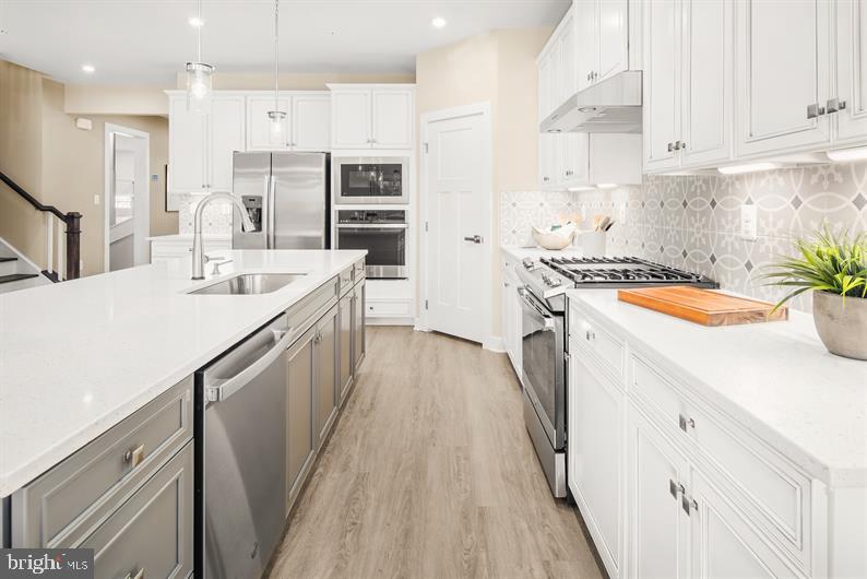 GREEN LANE MEADOWS - Residential