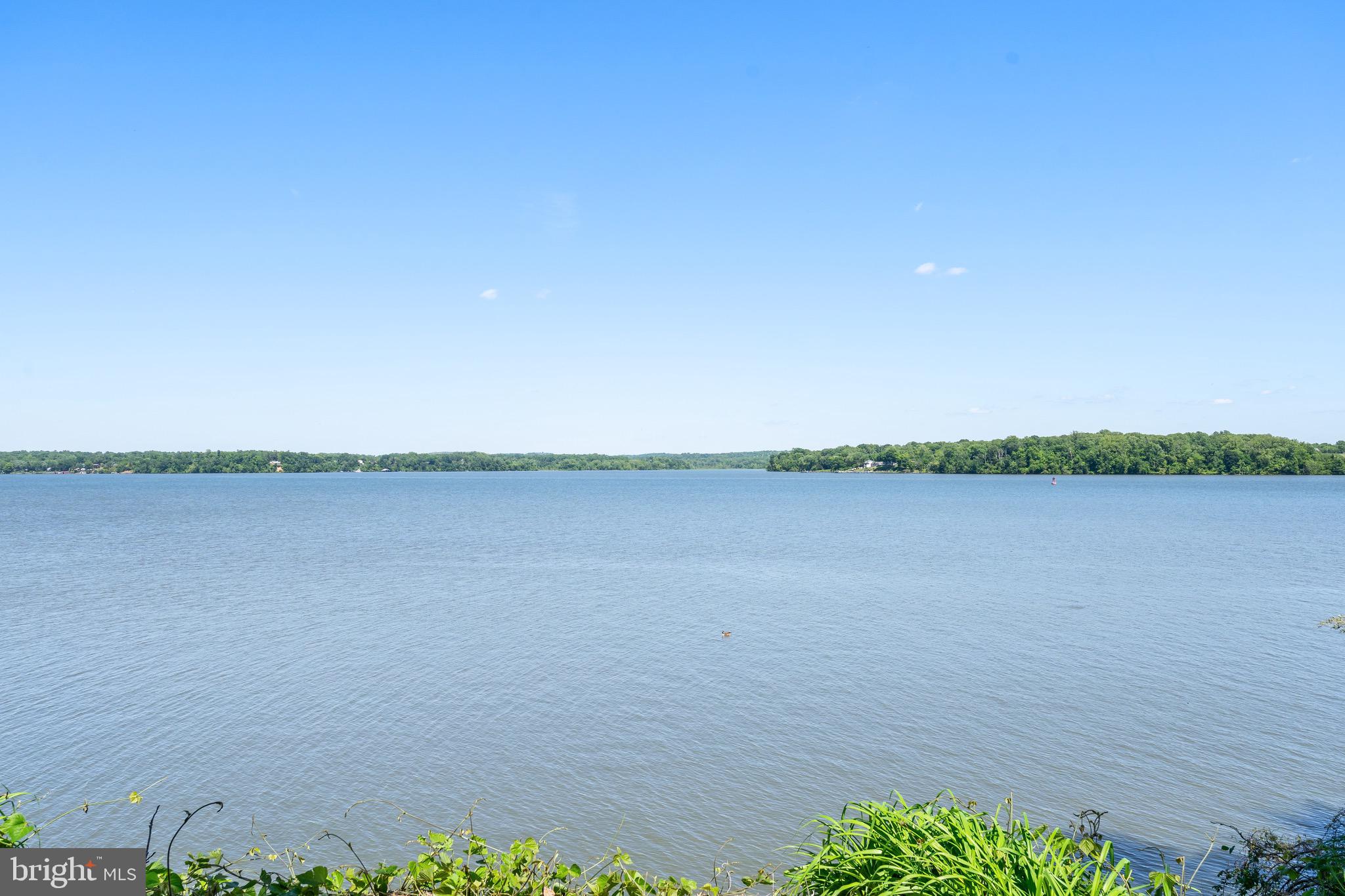 ARCTURUS ON THE POTOMAC - Residential