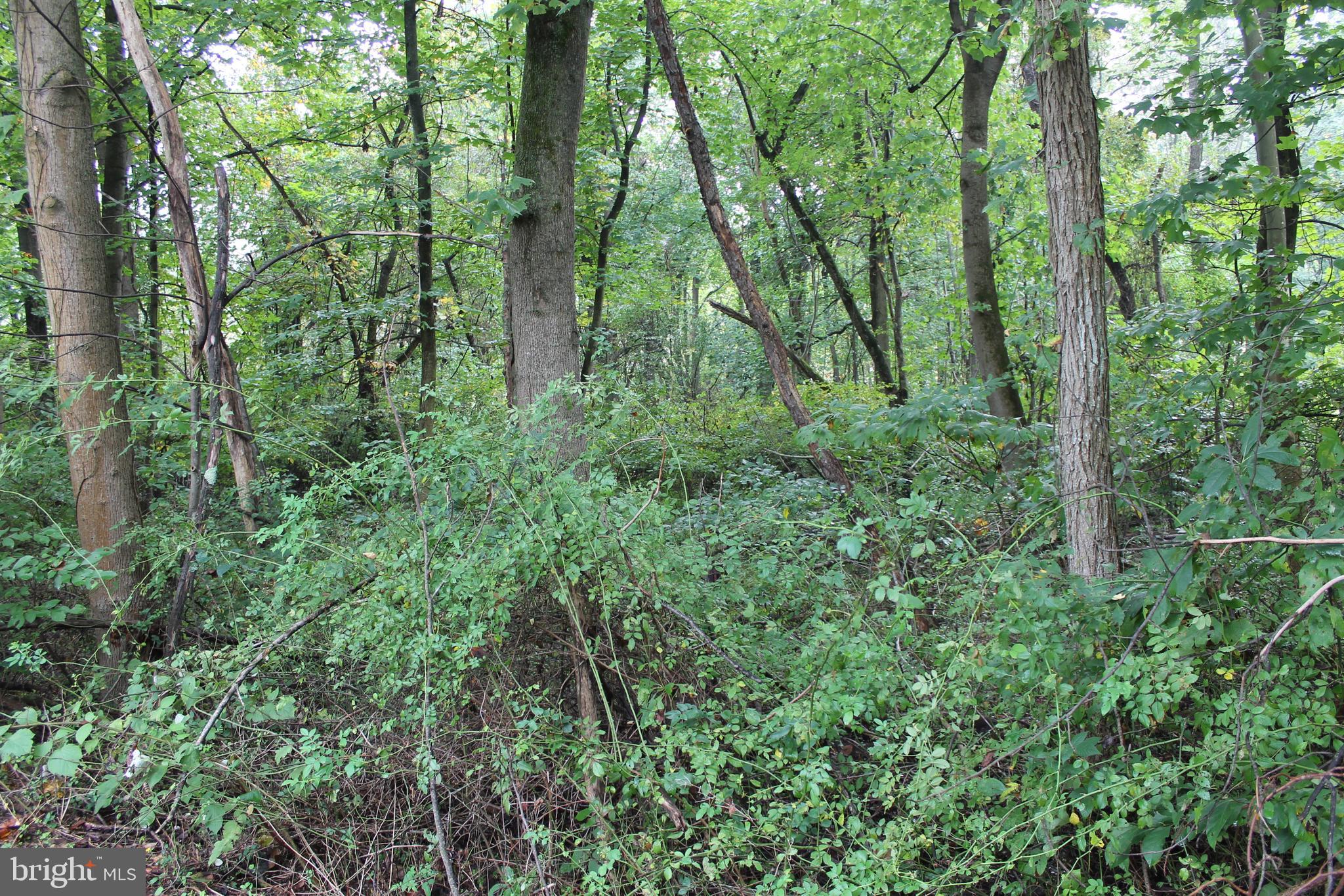 I SECTION - Land