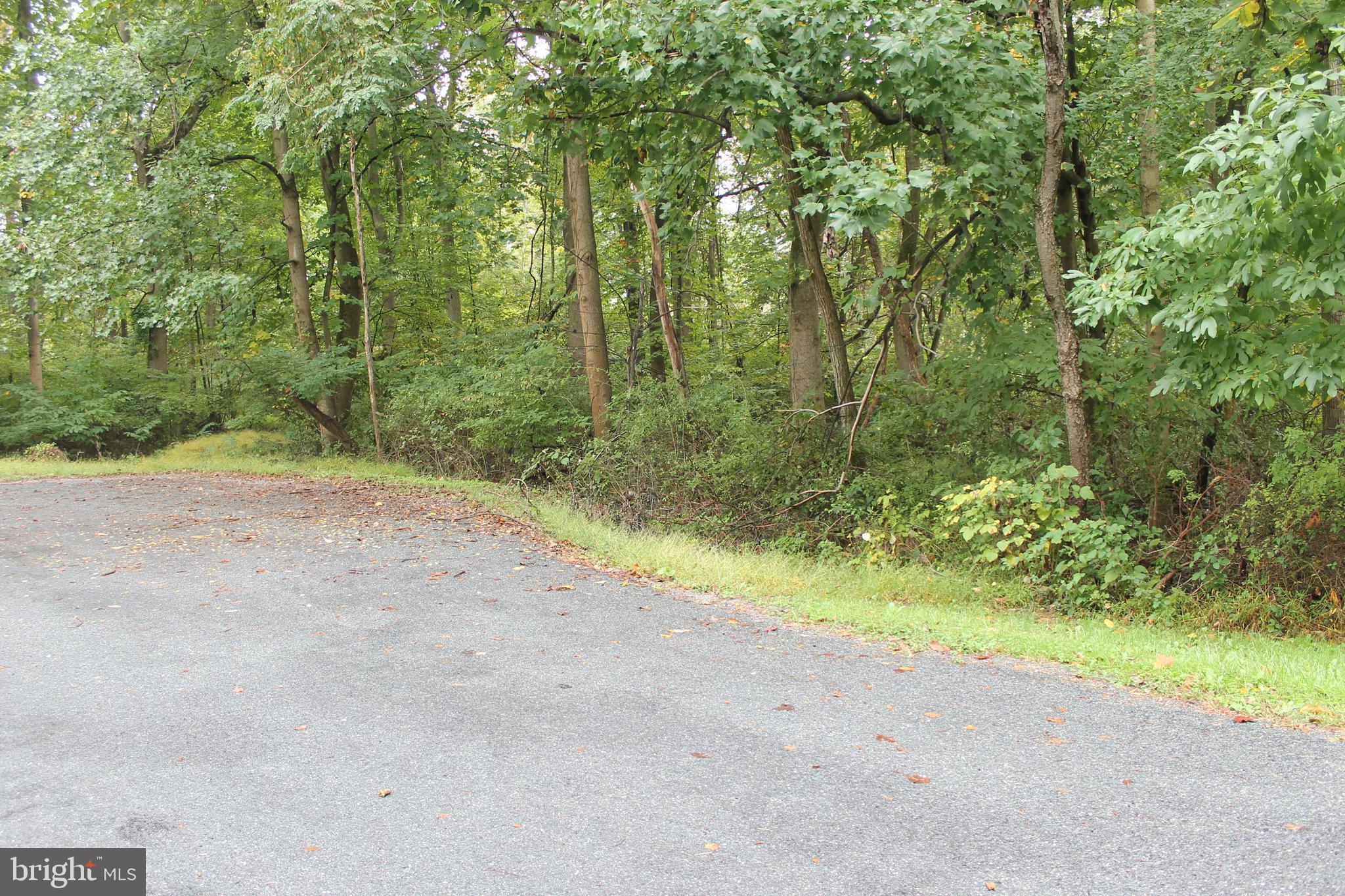 RECREATIONAL 0.52 Acre Wooded Lot on Cul de Sac in Fairfield Area School District.  No HOA.  Camping not permitted.   Well would be required.  Near golfing, skiing, and many other outdoor recreational areas like the local, state, and national parks.   Not that far from historic Gettysburg.   Easy enough access to commuter routes as well.  Make this the site of your new outdoor retreat.