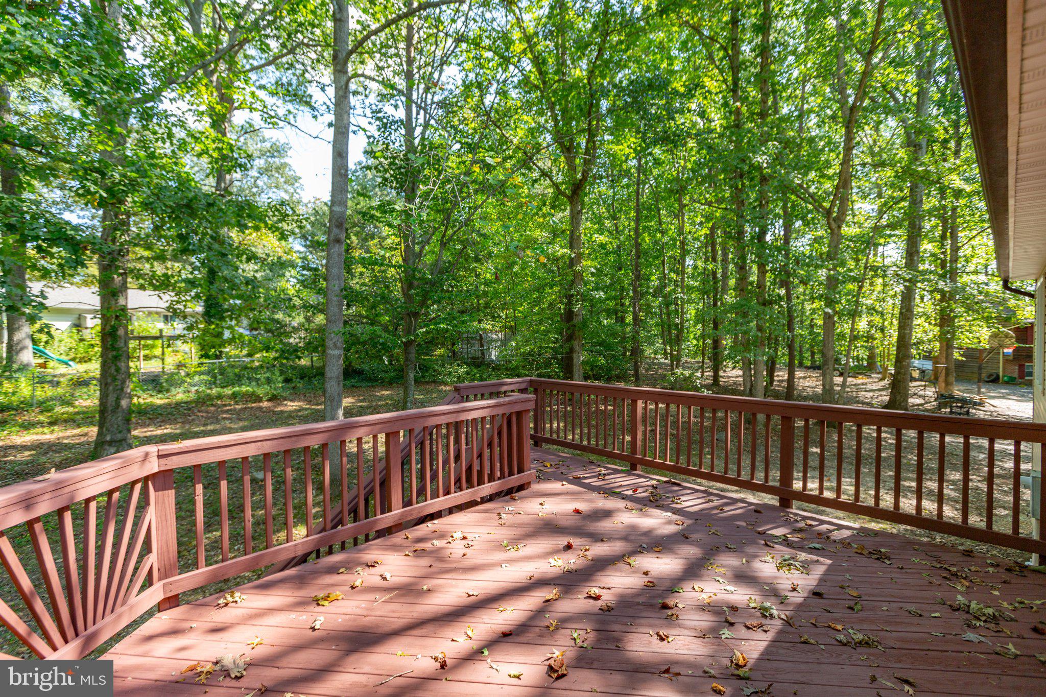 PLANTATION FOREST - Residential Lease
