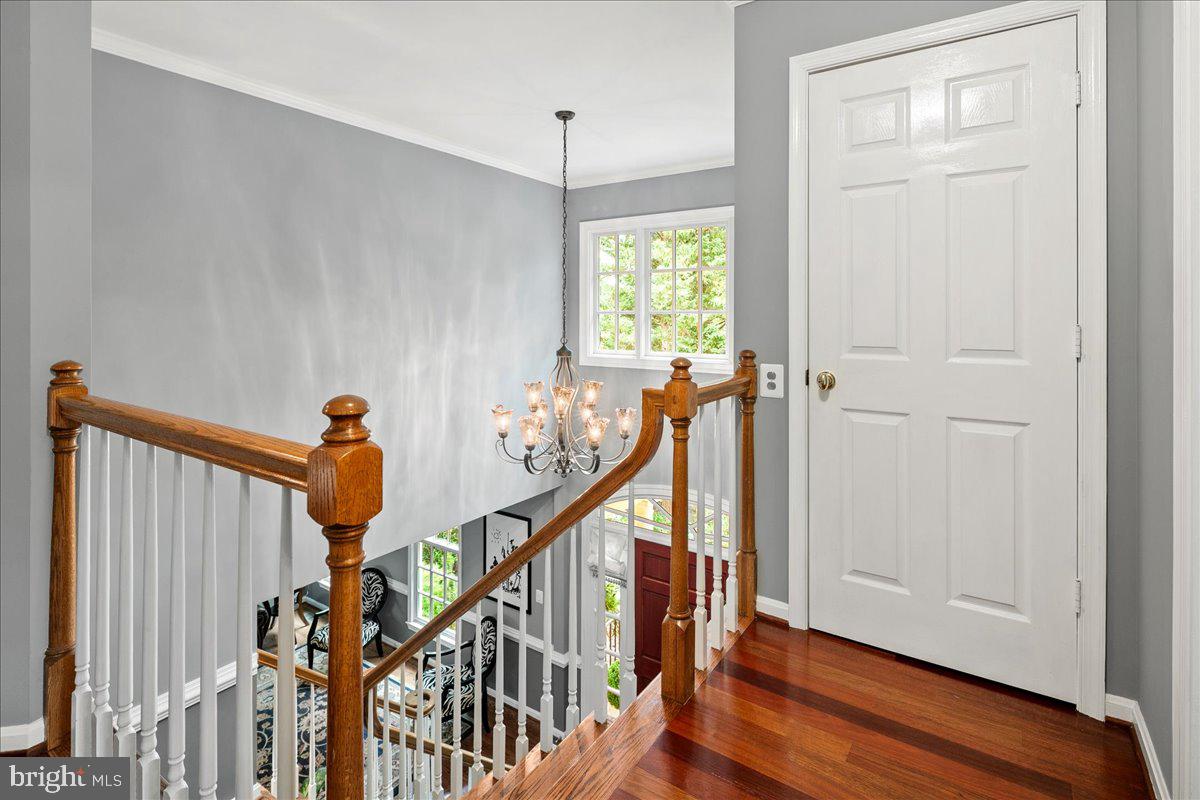 WASHINGTON WOODS POTOMAC - Residential