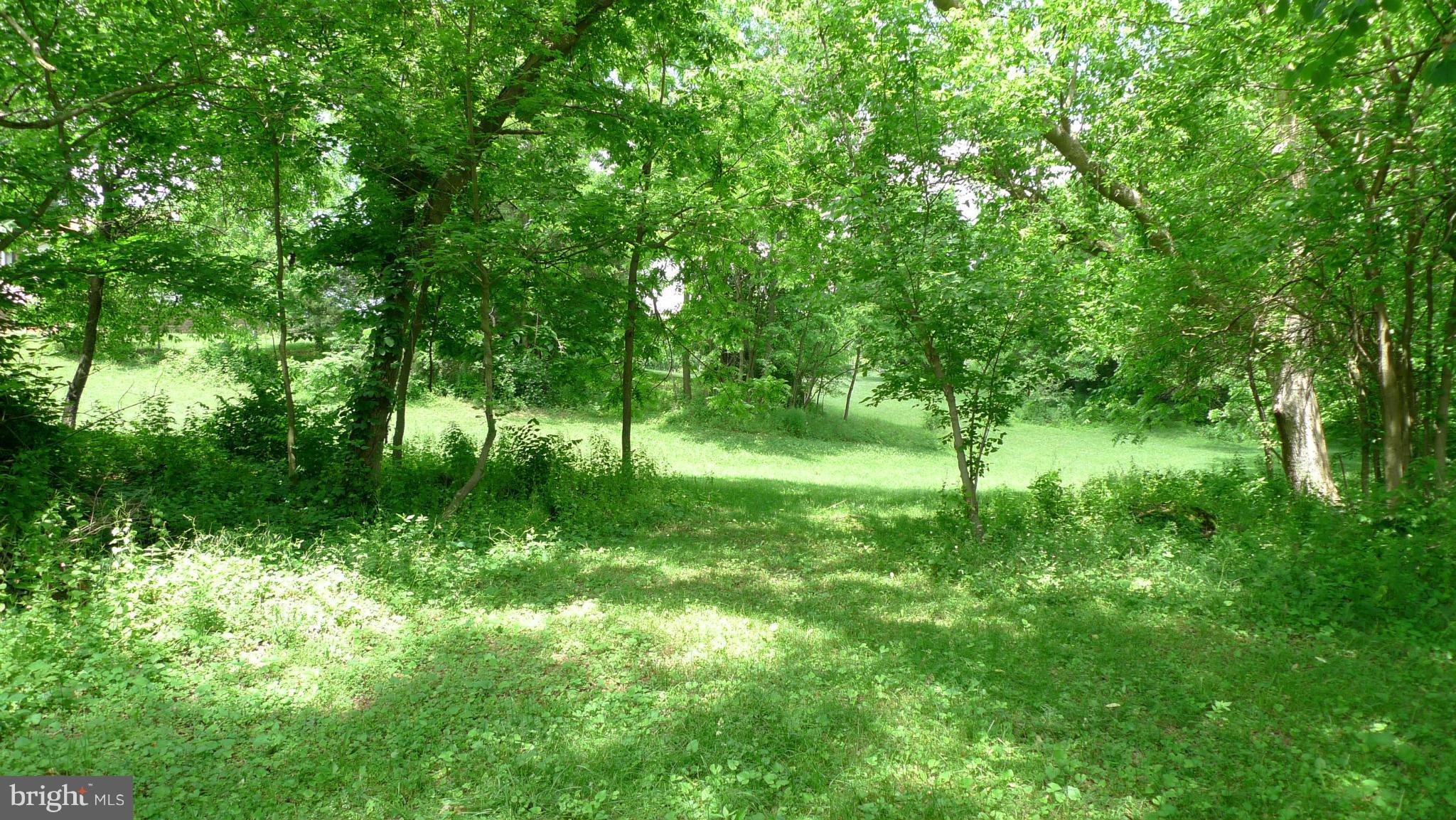 ROBINWOOD - Land