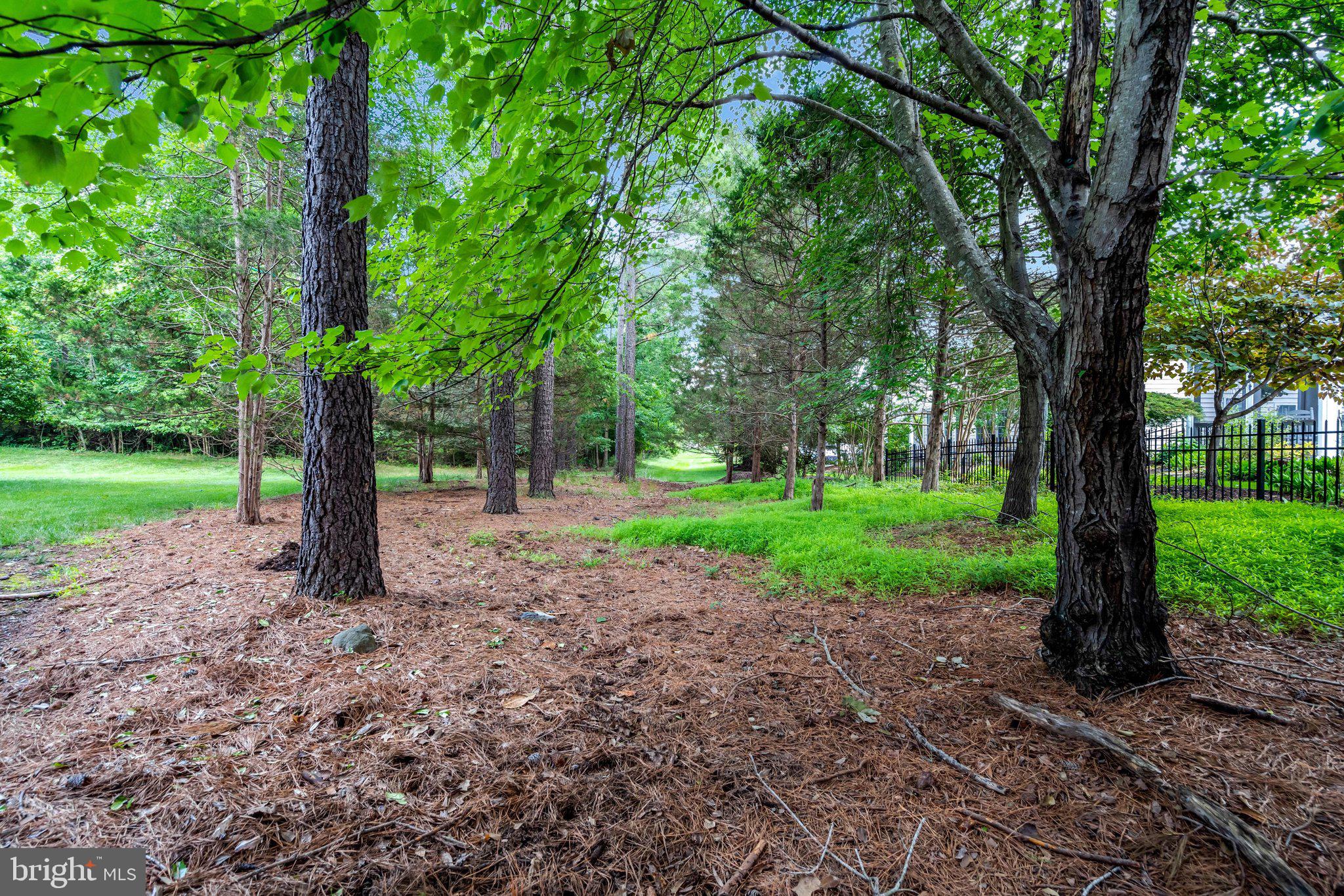 REGENCY AT DOMINION VALLEY - Residential