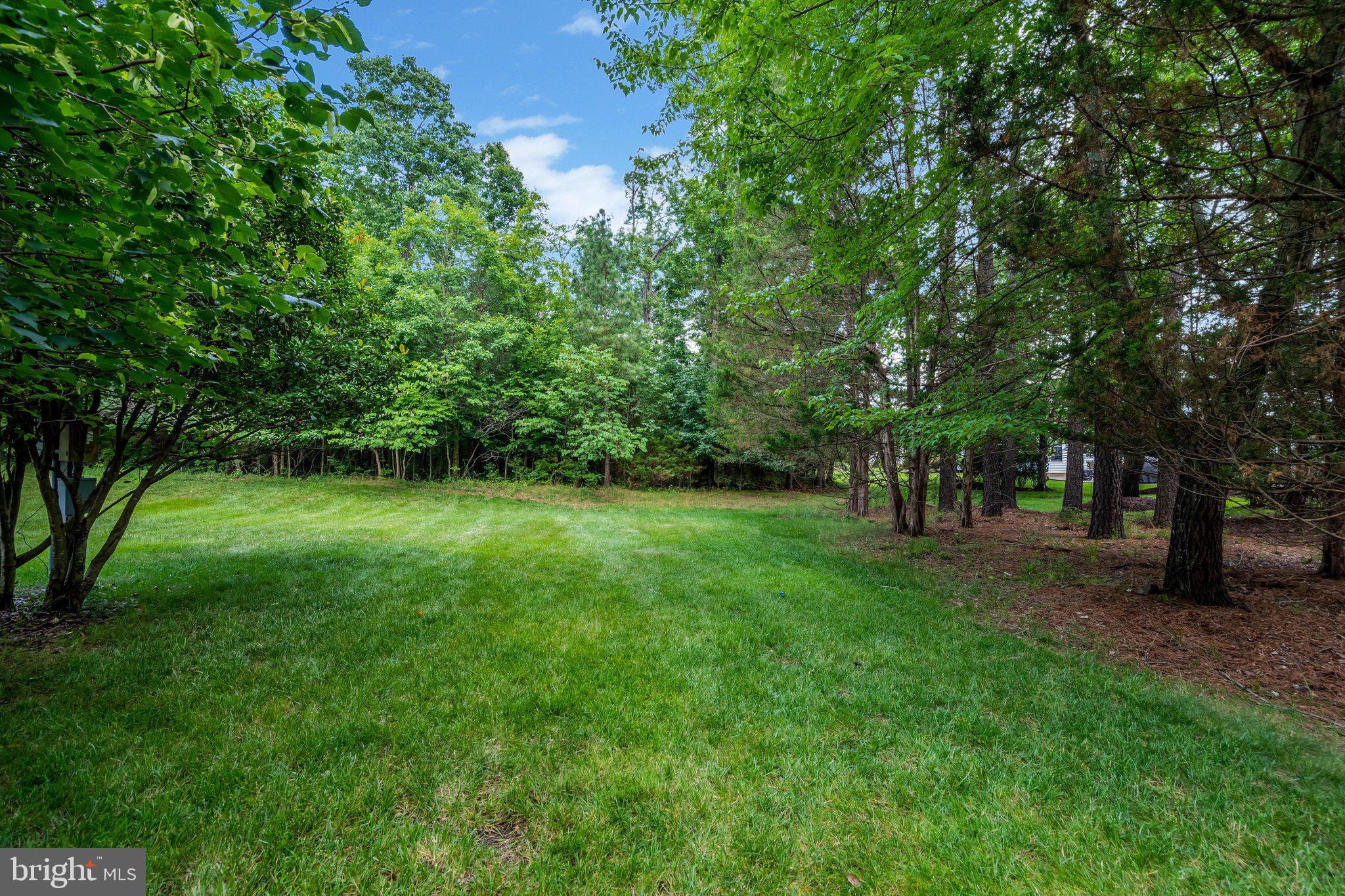 REGENCY AT DOMINION VALLEY - Residential