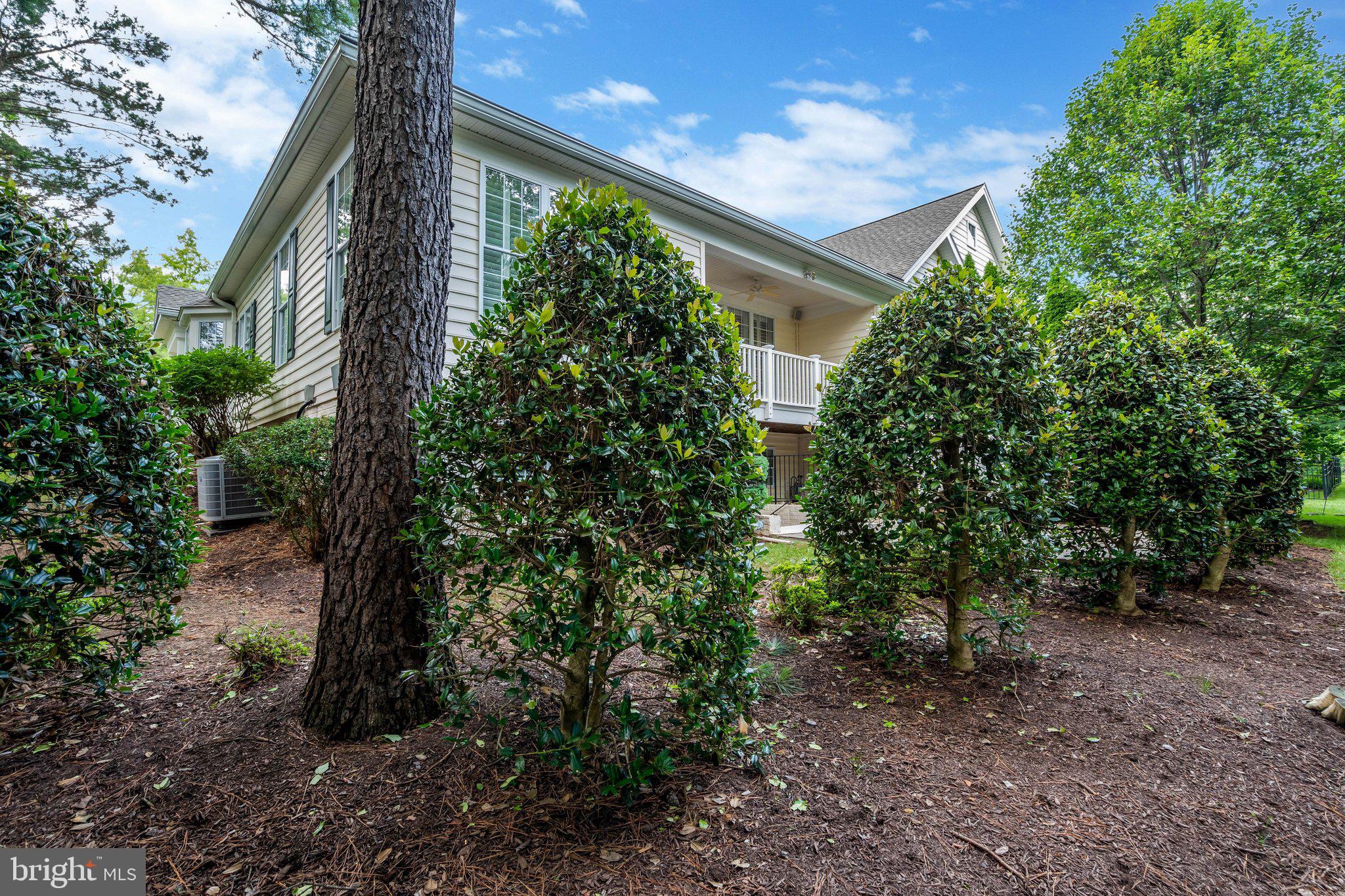 REGENCY AT DOMINION VALLEY - Residential