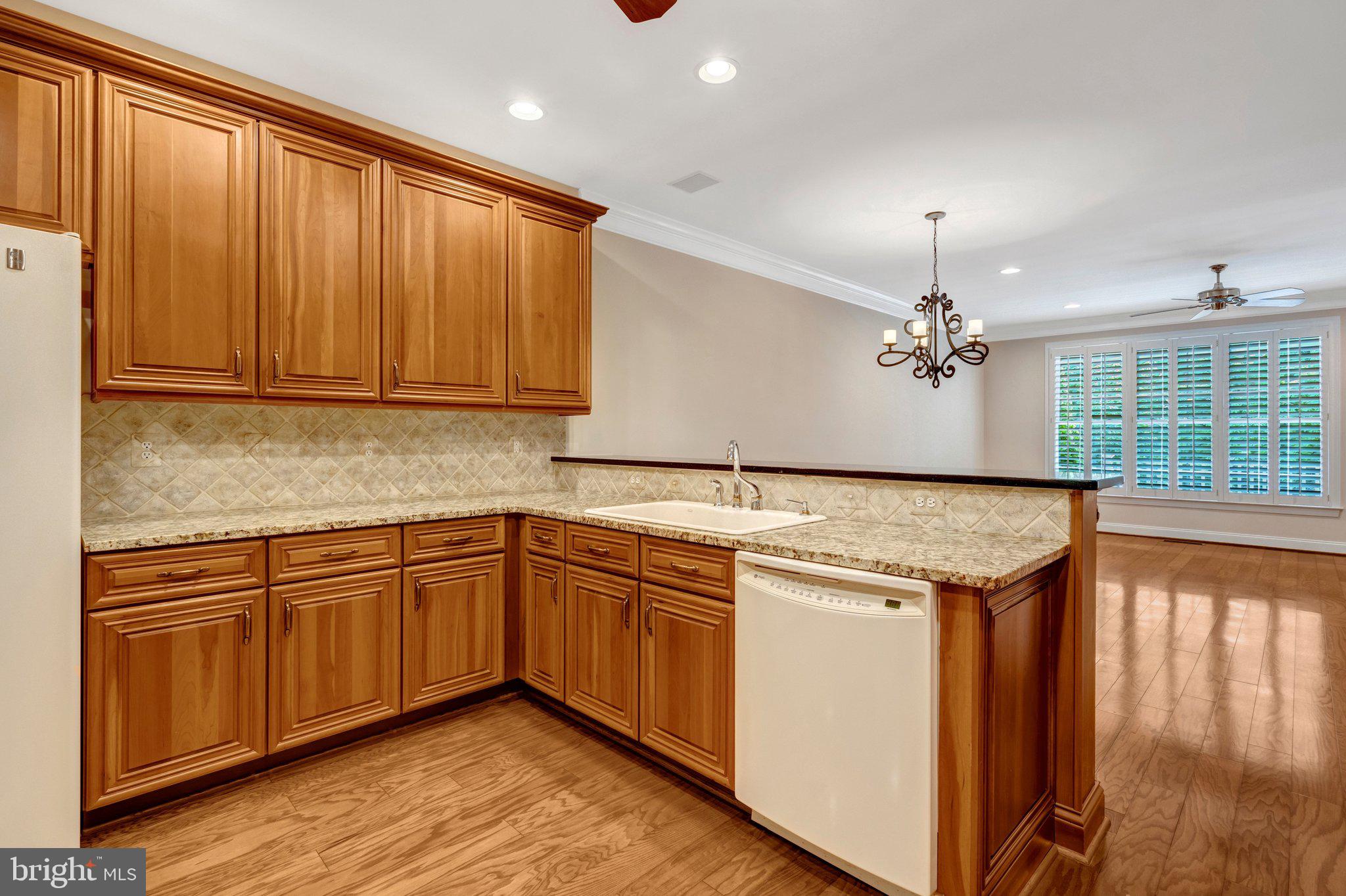 REGENCY AT DOMINION VALLEY - Residential