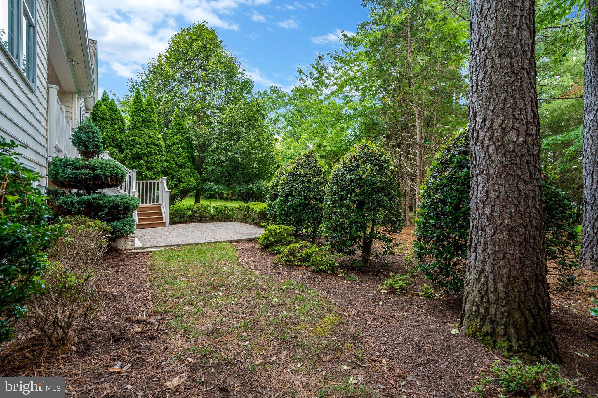 REGENCY AT DOMINION VALLEY - Residential