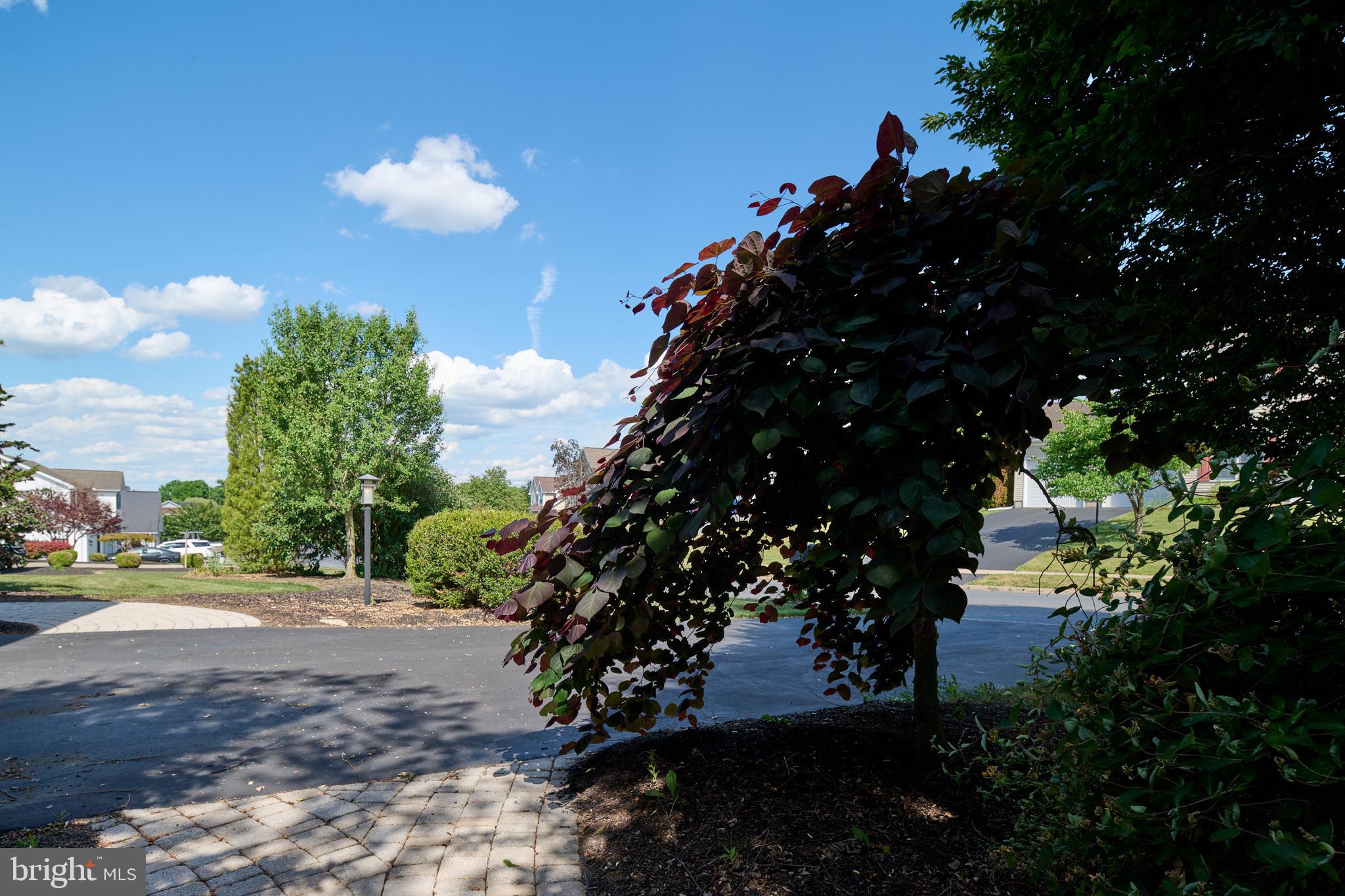 HAMPTON HILLS - Residential