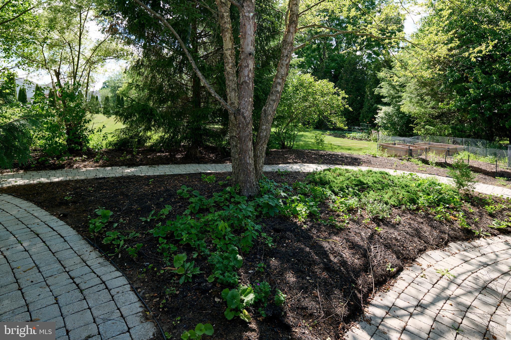 HAMPTON HILLS - Residential