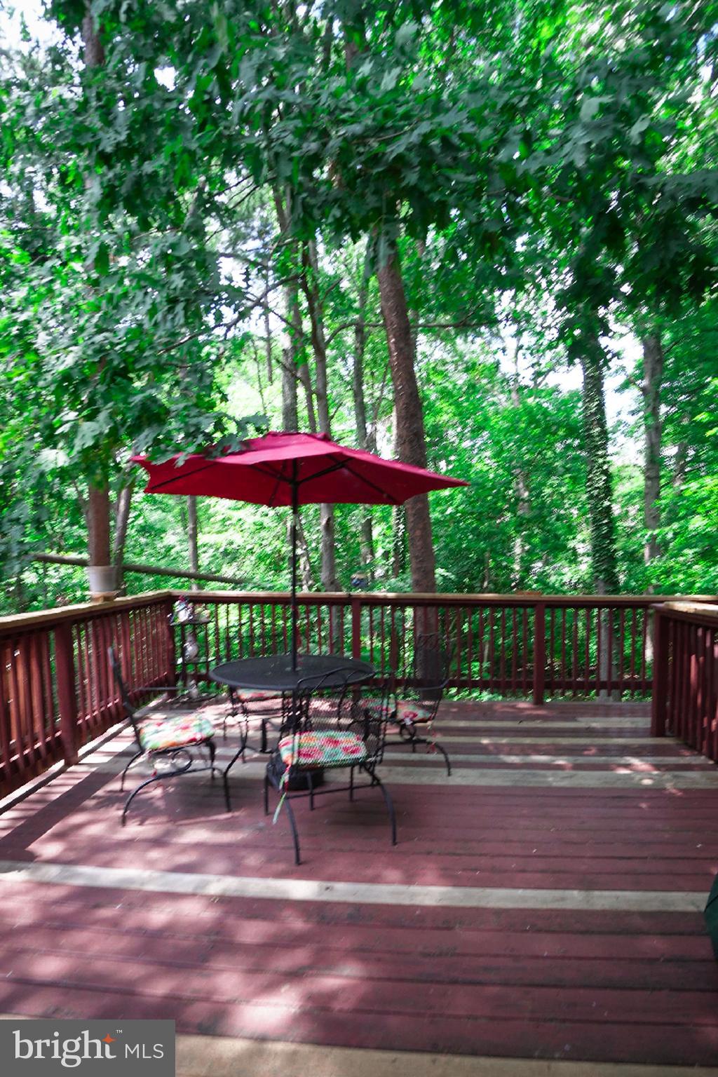 LIONS GATE - Residential