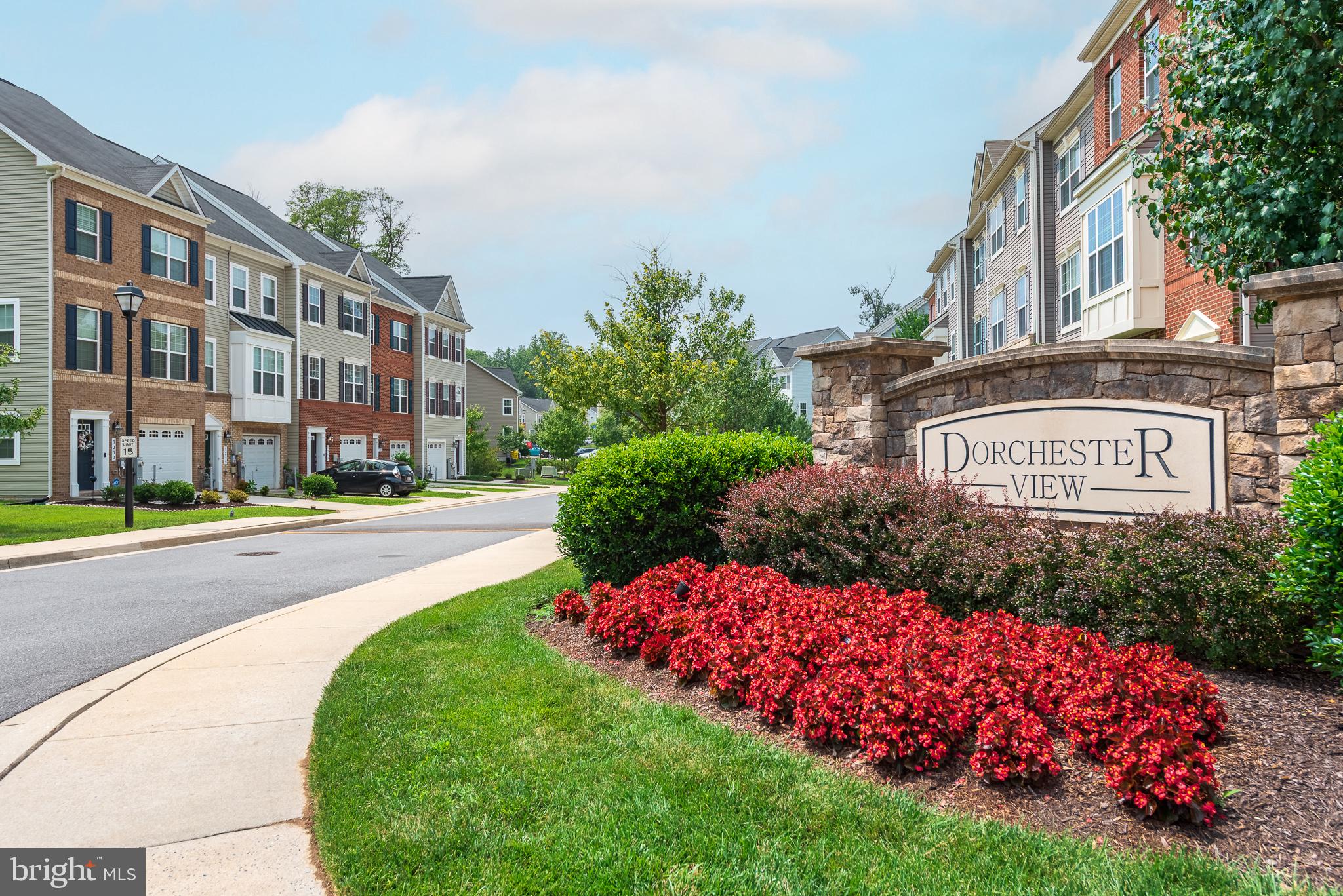 DORCHESTER VIEW - Residential