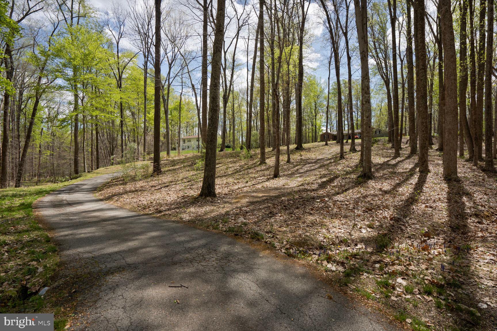 THE SINGING WOODS - Residential