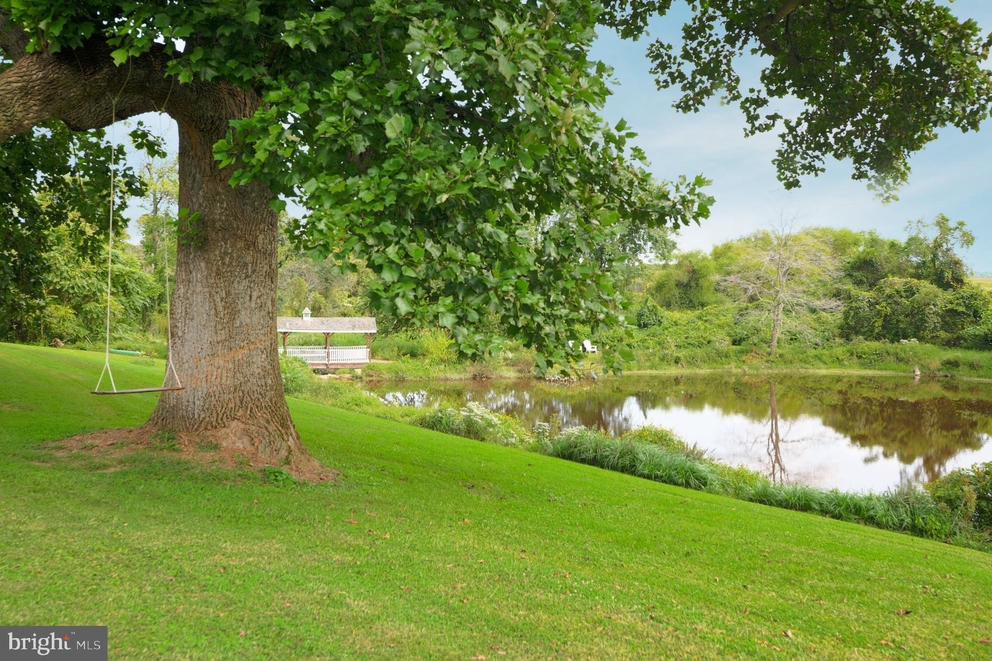 TOLCHESTER - Residential