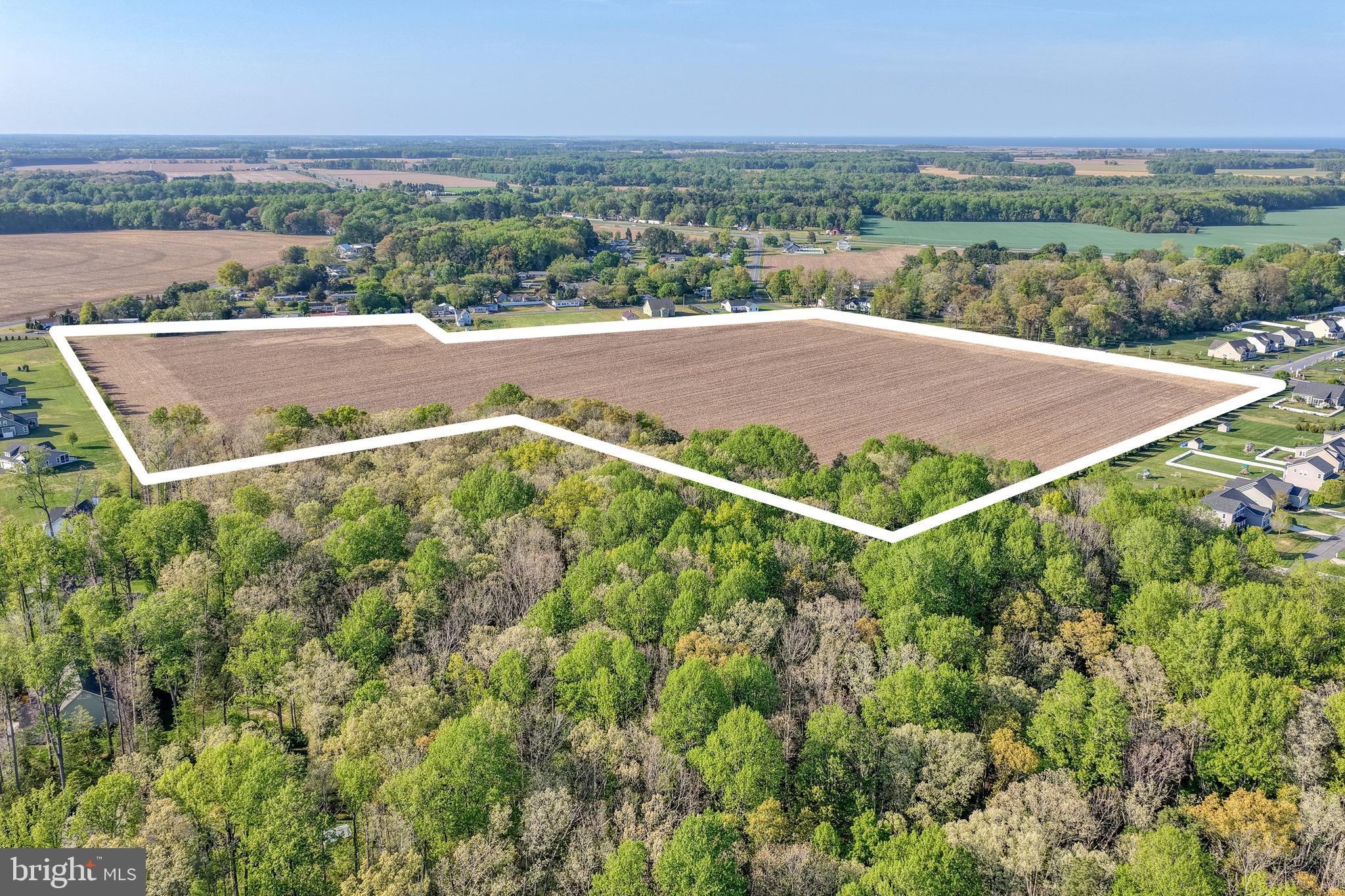 A truly incredible 47.8 acres of opportunity and development await you at Draper and Reynolds Roads in the gently growing rural Milton area.  Ideally positioned North-East of the town and just West of Coastal Highway, this expansive property offers approximately 35  tillable acres and 12.6 wooded acres, creating a rare blend of open farmland, natural beauty and future potential.  
Whether envisioned for agricultural use, your private estate setting, or possible development, the location offers very convenient access to our area's beaches, shopping, dining  and the many attractions of Coastal Delaware.  All the borders of this SITE are easily defined by the well-planned communities of Deep Branch Woods and Bay Landing.