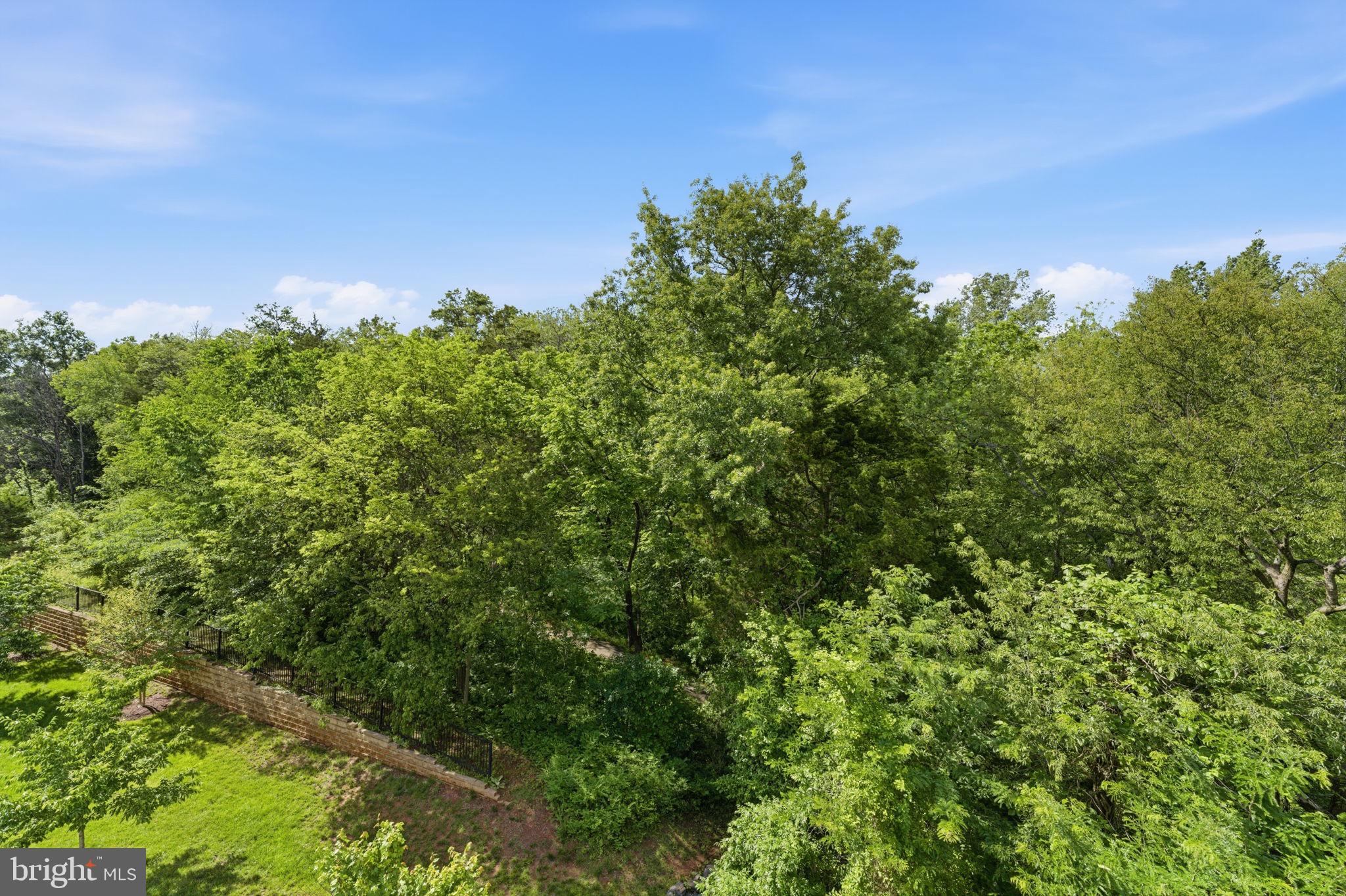 REGENCY AT DOMINION VALLEY - Residential
