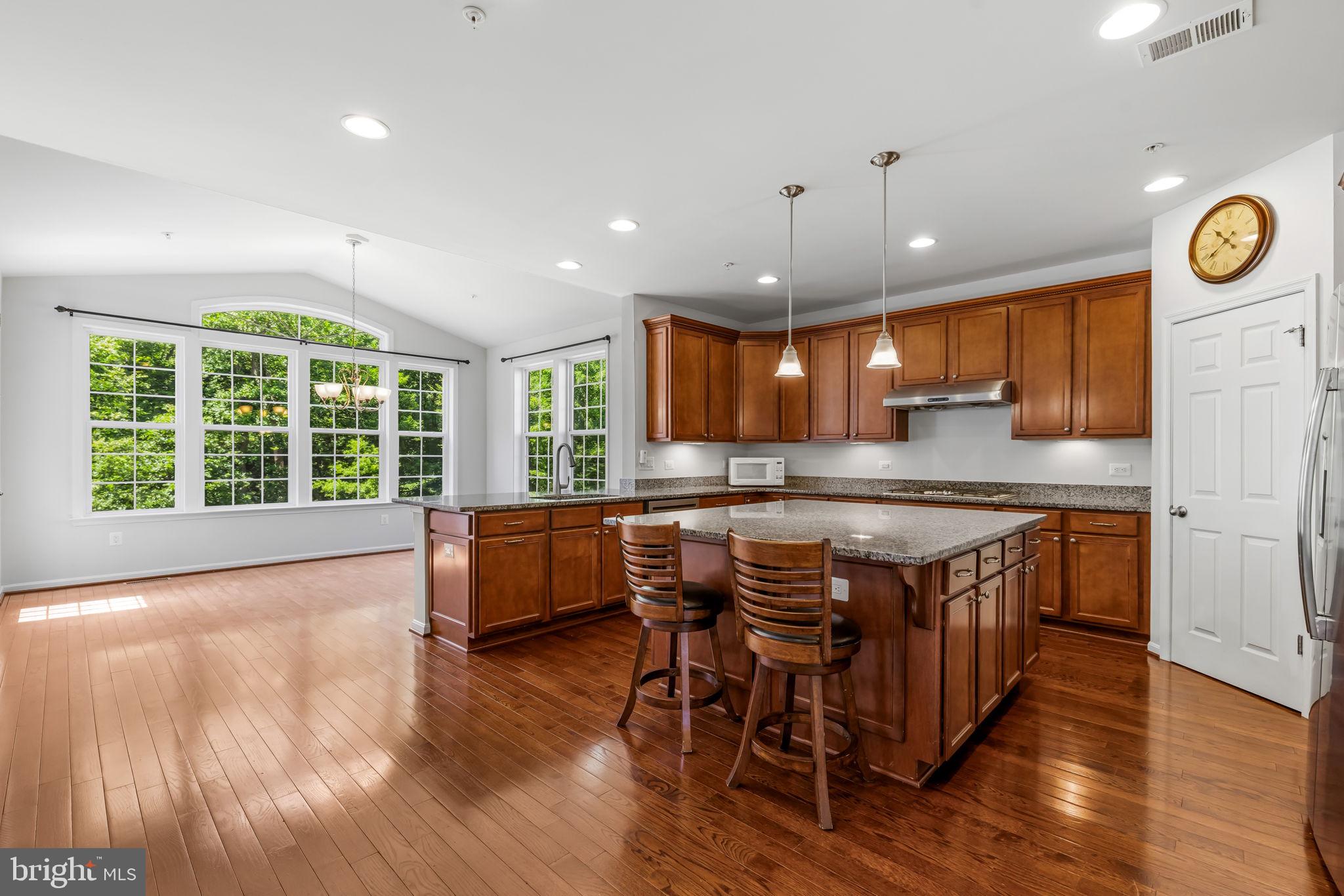 PATAPSCO RESERVE - Residential