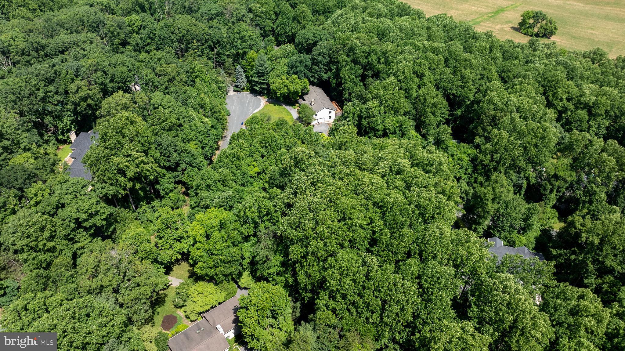 WORTHINGTON HILLSIDE II - Land