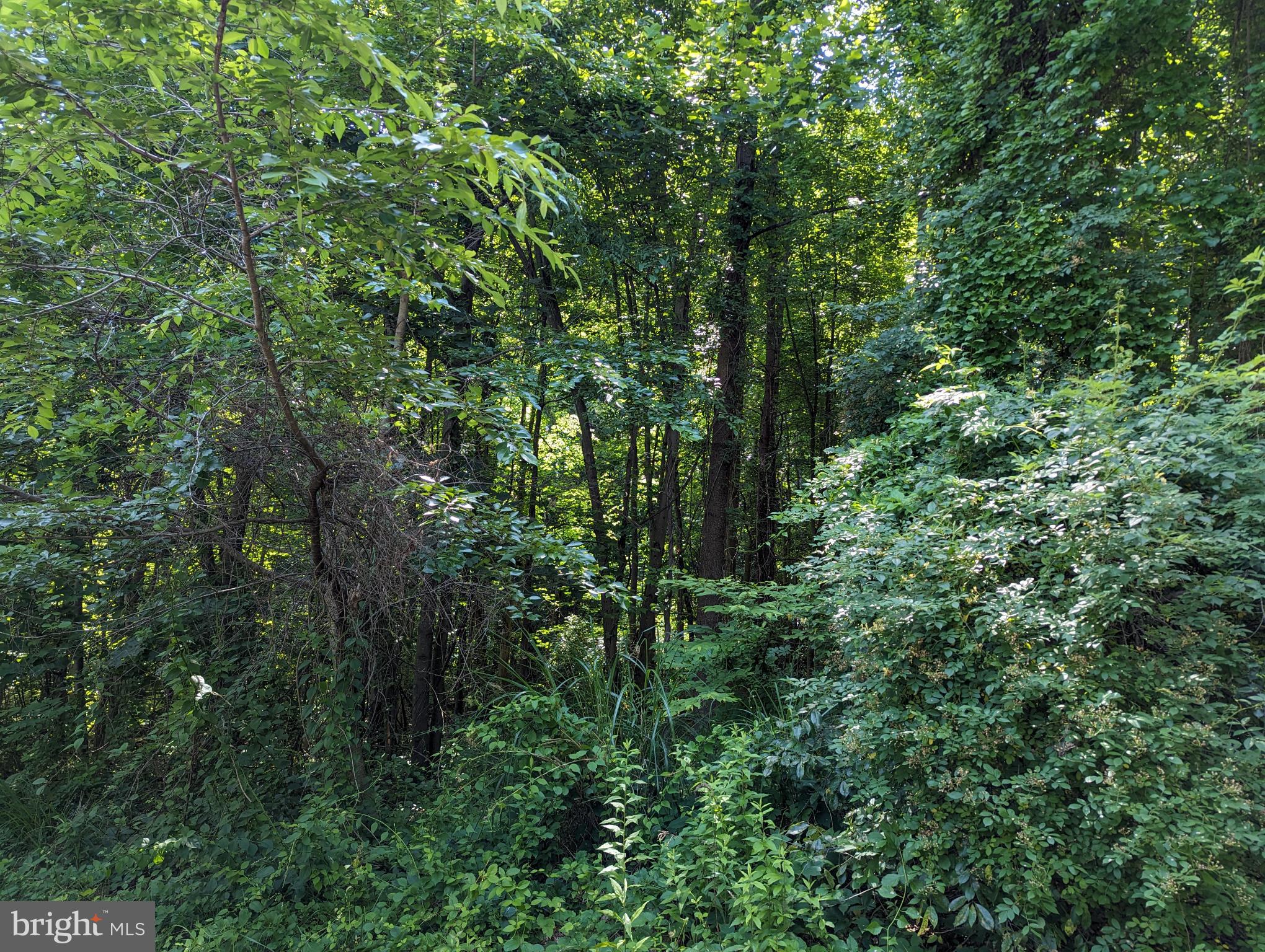 WORTHINGTON HILLSIDE II - Land